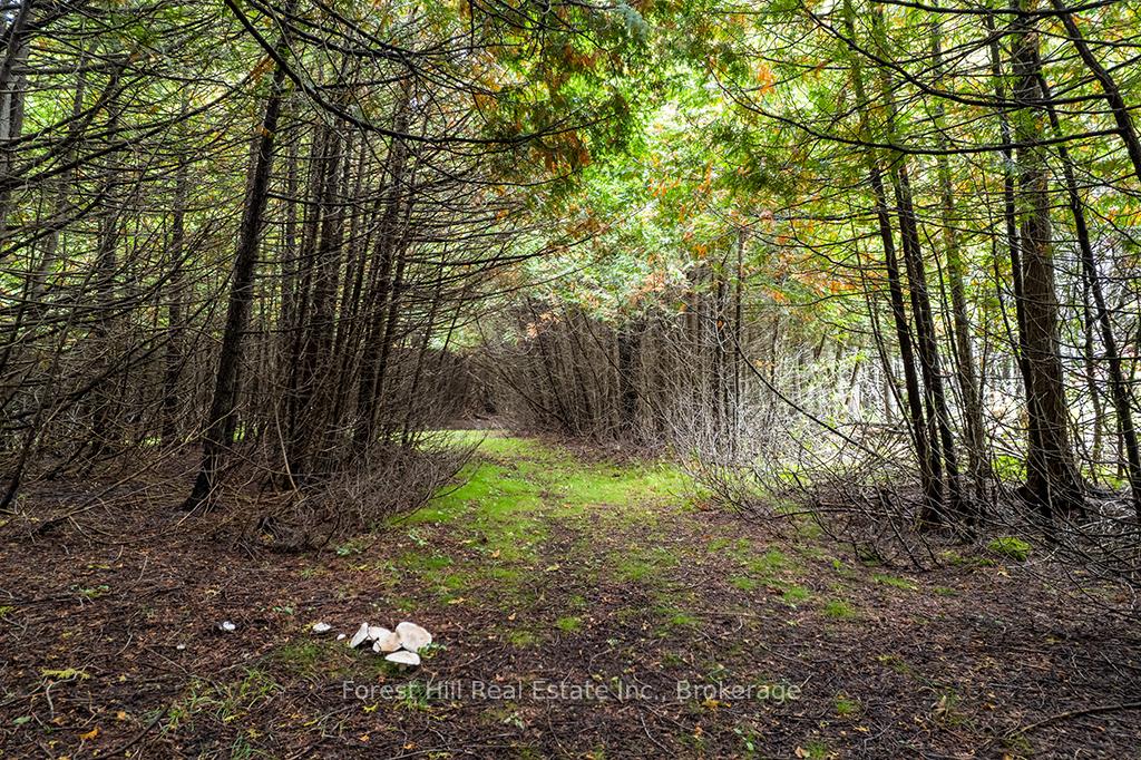Photo 33 of 403288 Grey Road 4, West Grey — HOMEH