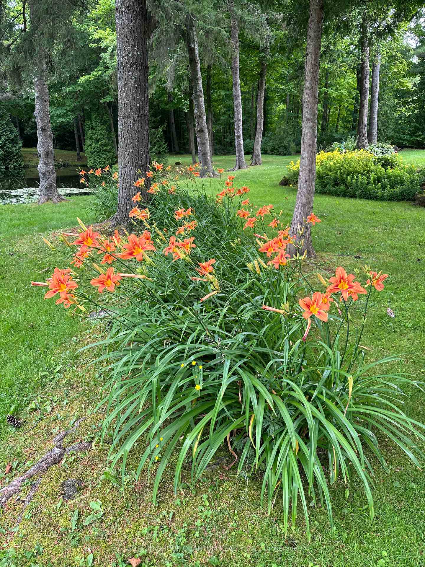 Photo 31 of 506 11th Concession Road E, Hamilton, Rural Flamborough — HOMEH