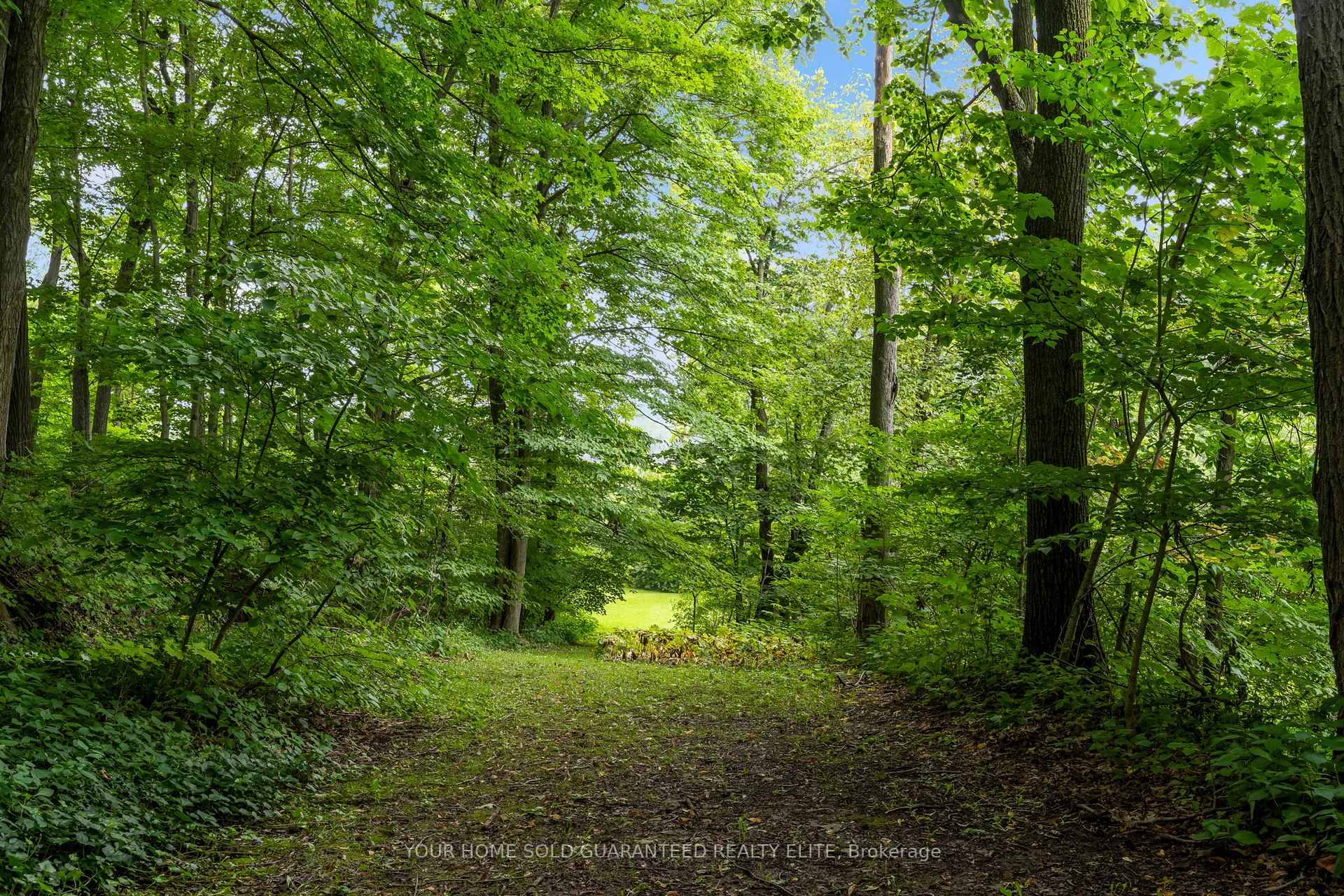 Photo 22 of 155 Ridge Road E, Grimsby, Grimsby Escarpment — HOMEH