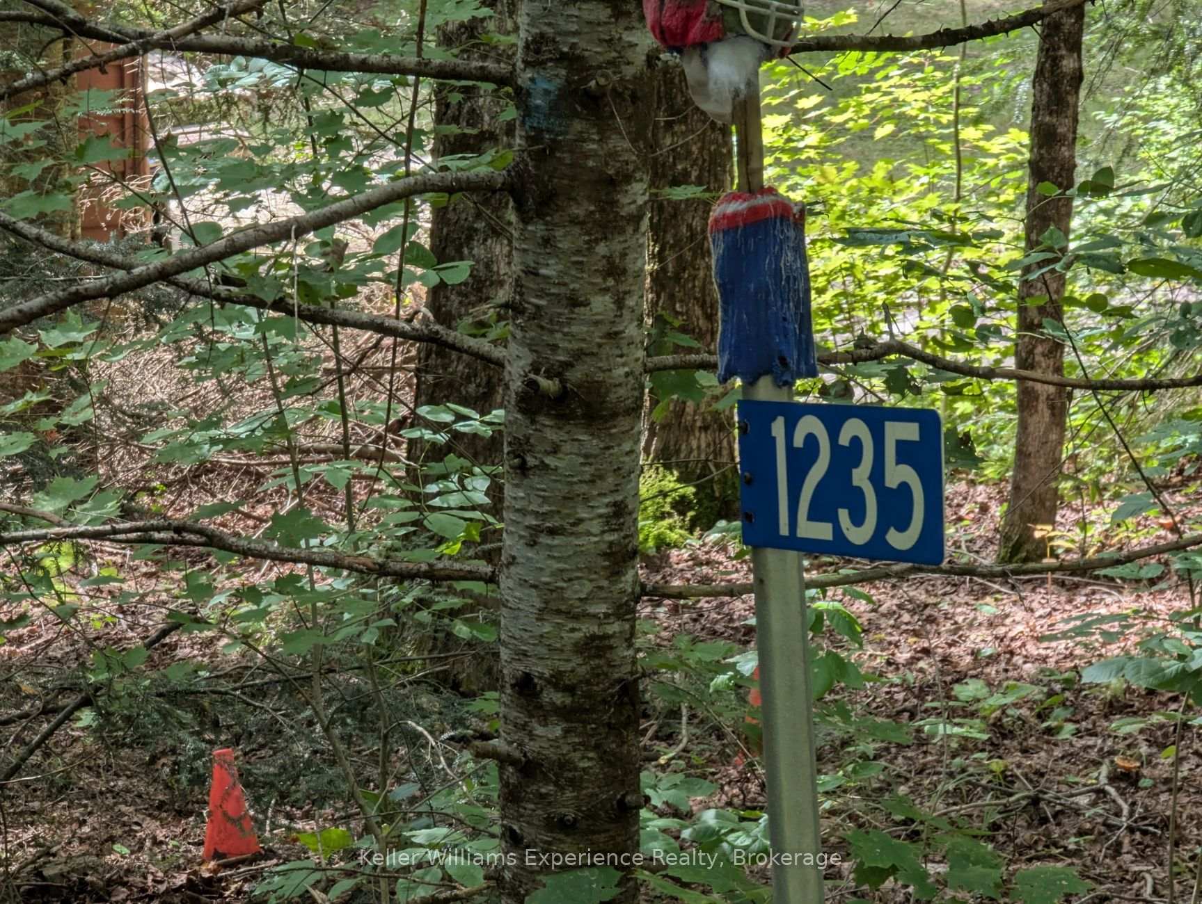 Photo 4 of 1235 Staunton Road Private, Bracebridge, Draper — HOMEH