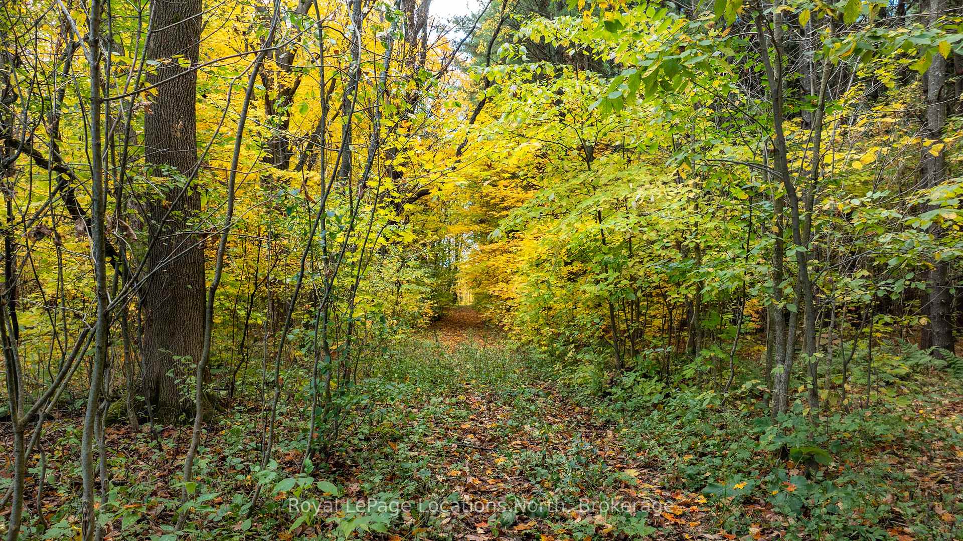 Photo 28 of 609830 12th Side Road, Blue Mountains — HOMEH