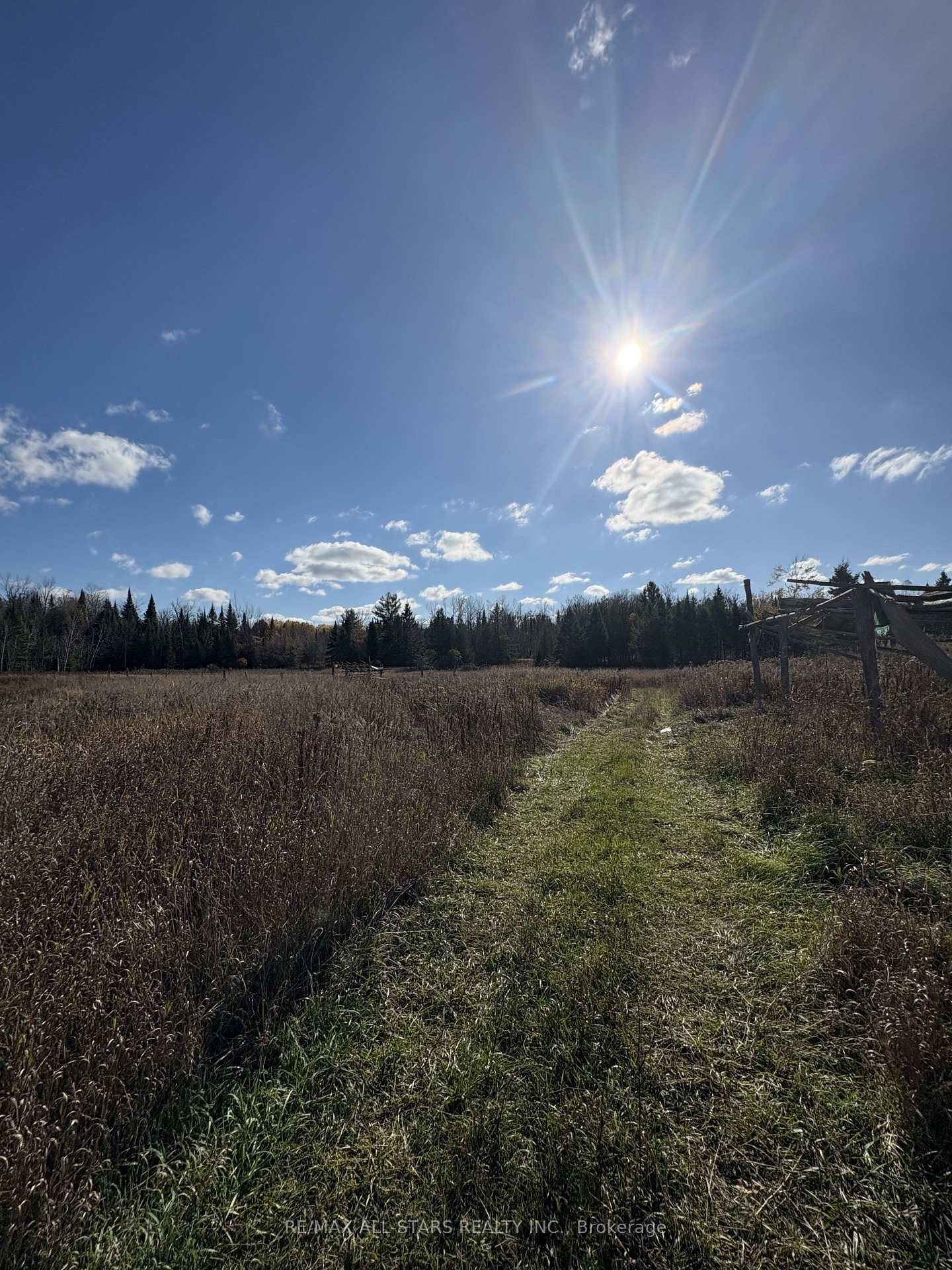 Photo 33 of 3783 Monck Road, Kawartha Lakes, Somerville — HOMEH