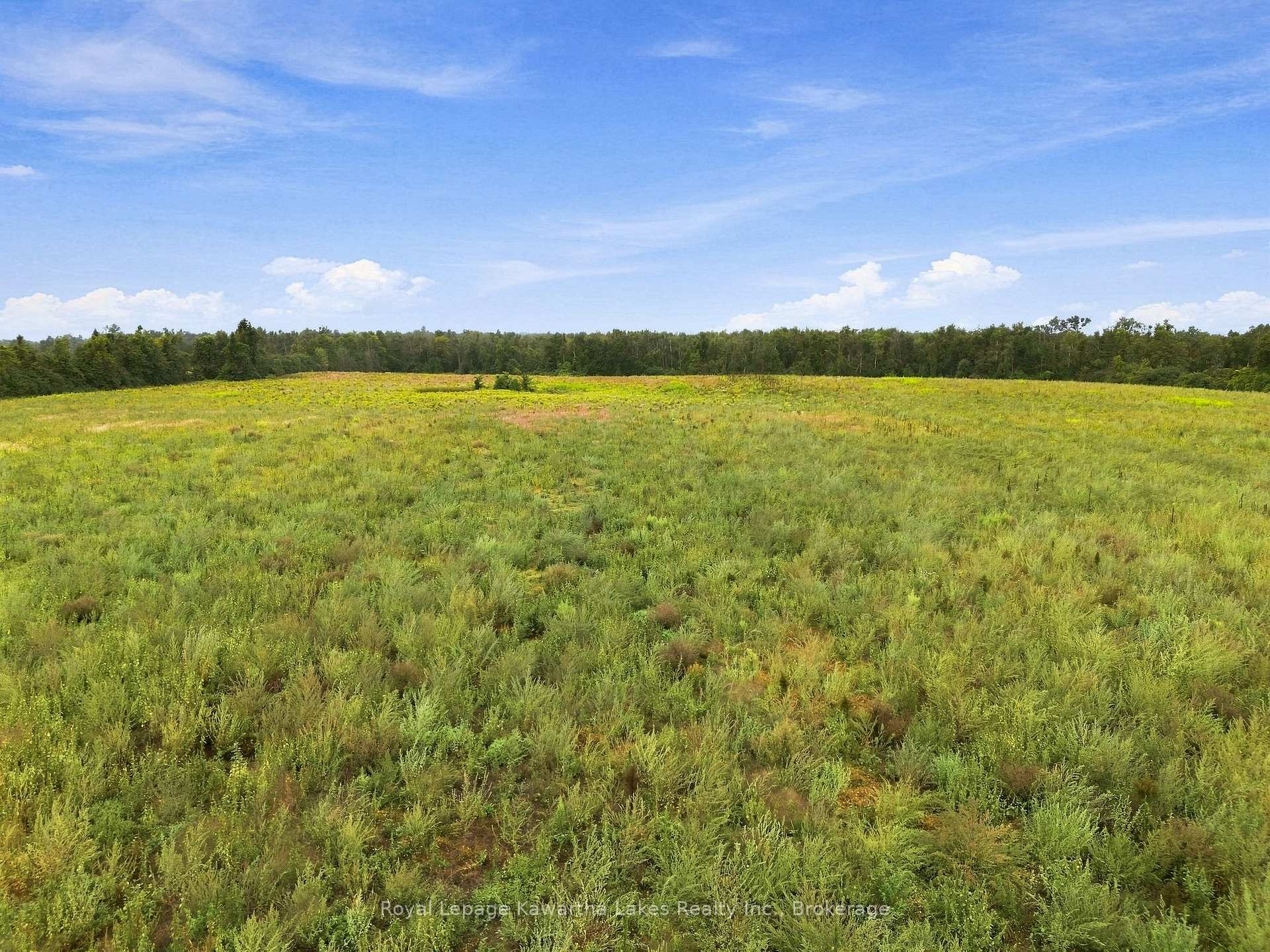 Photo 10 of 583 Hillhead Road, Kawartha Lakes, Ops — HOMEH