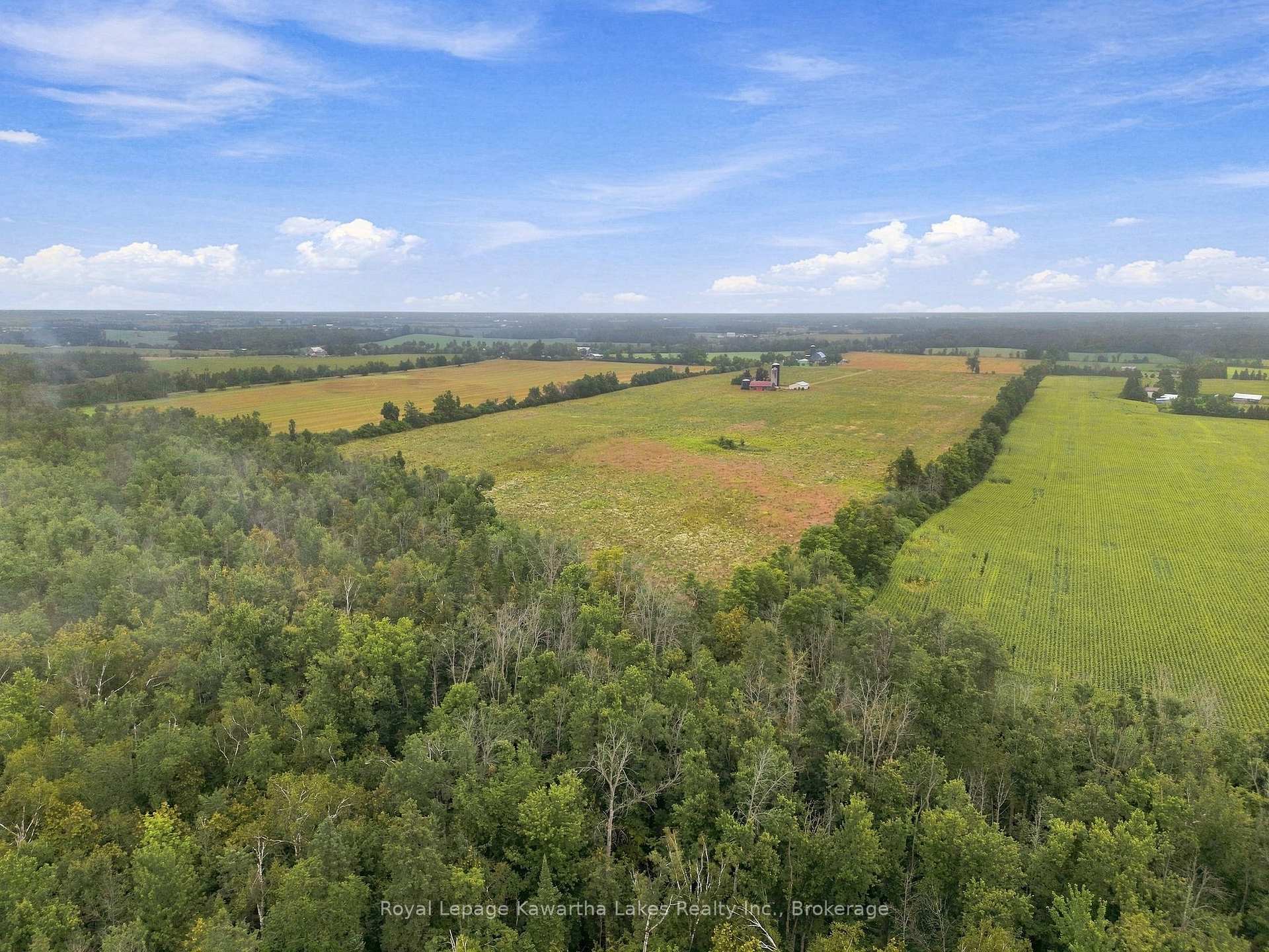 Photo 13 of 583 Hillhead Road, Kawartha Lakes, Ops — HOMEH