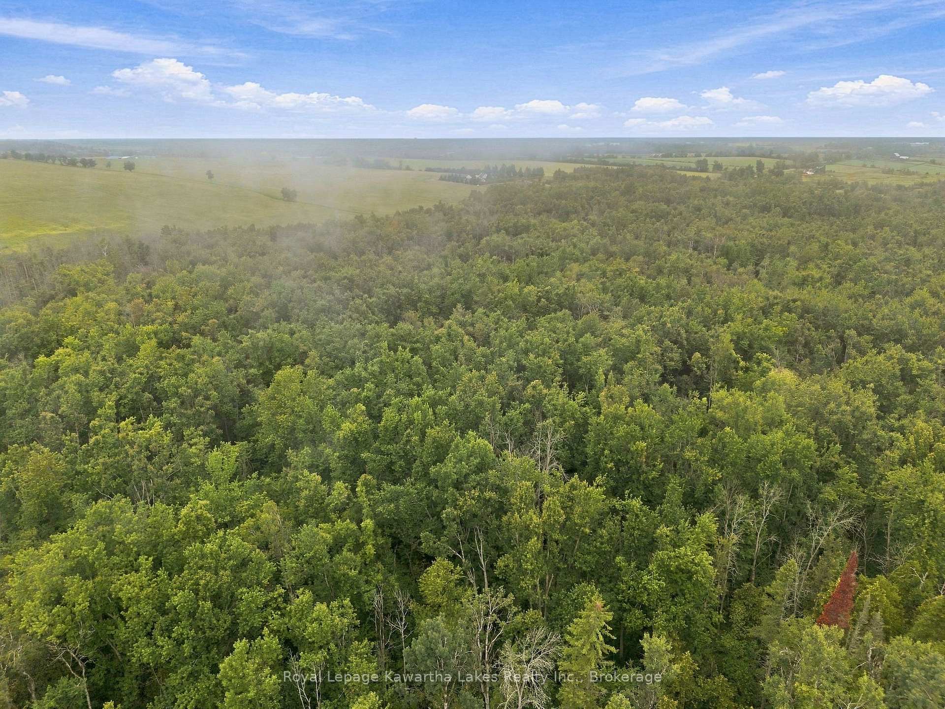 Photo 14 of 583 Hillhead Road, Kawartha Lakes, Ops — HOMEH