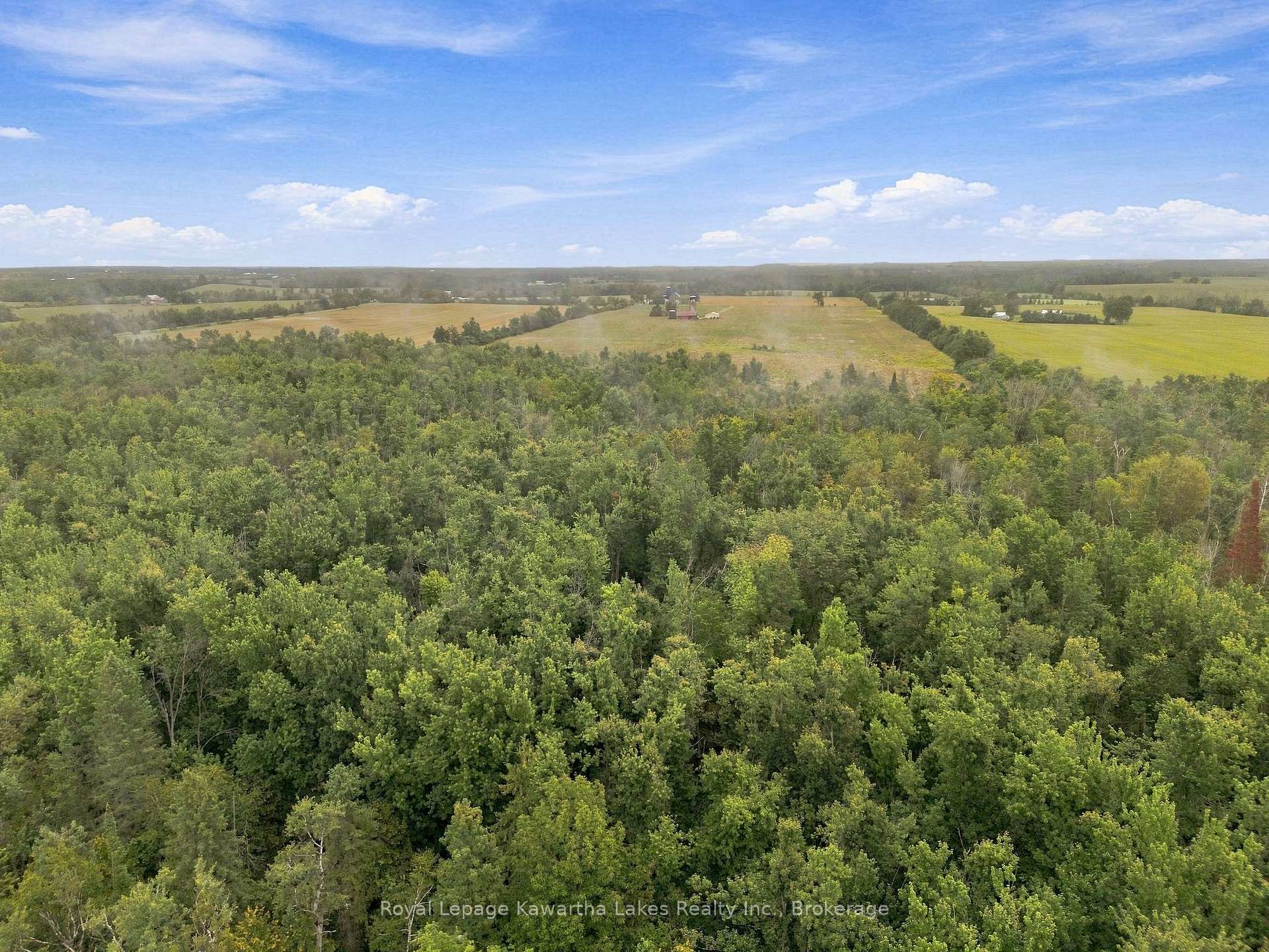 Photo 15 of 583 Hillhead Road, Kawartha Lakes, Ops — HOMEH