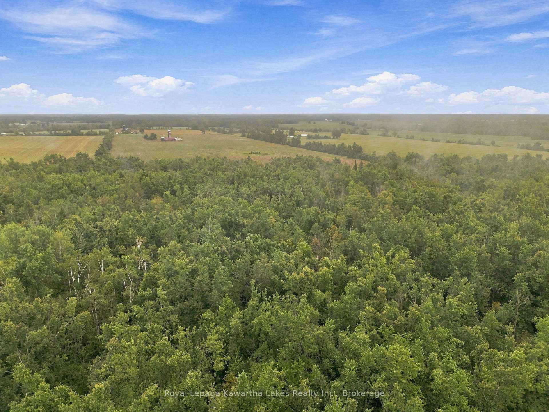 Photo 16 of 583 Hillhead Road, Kawartha Lakes, Ops — HOMEH