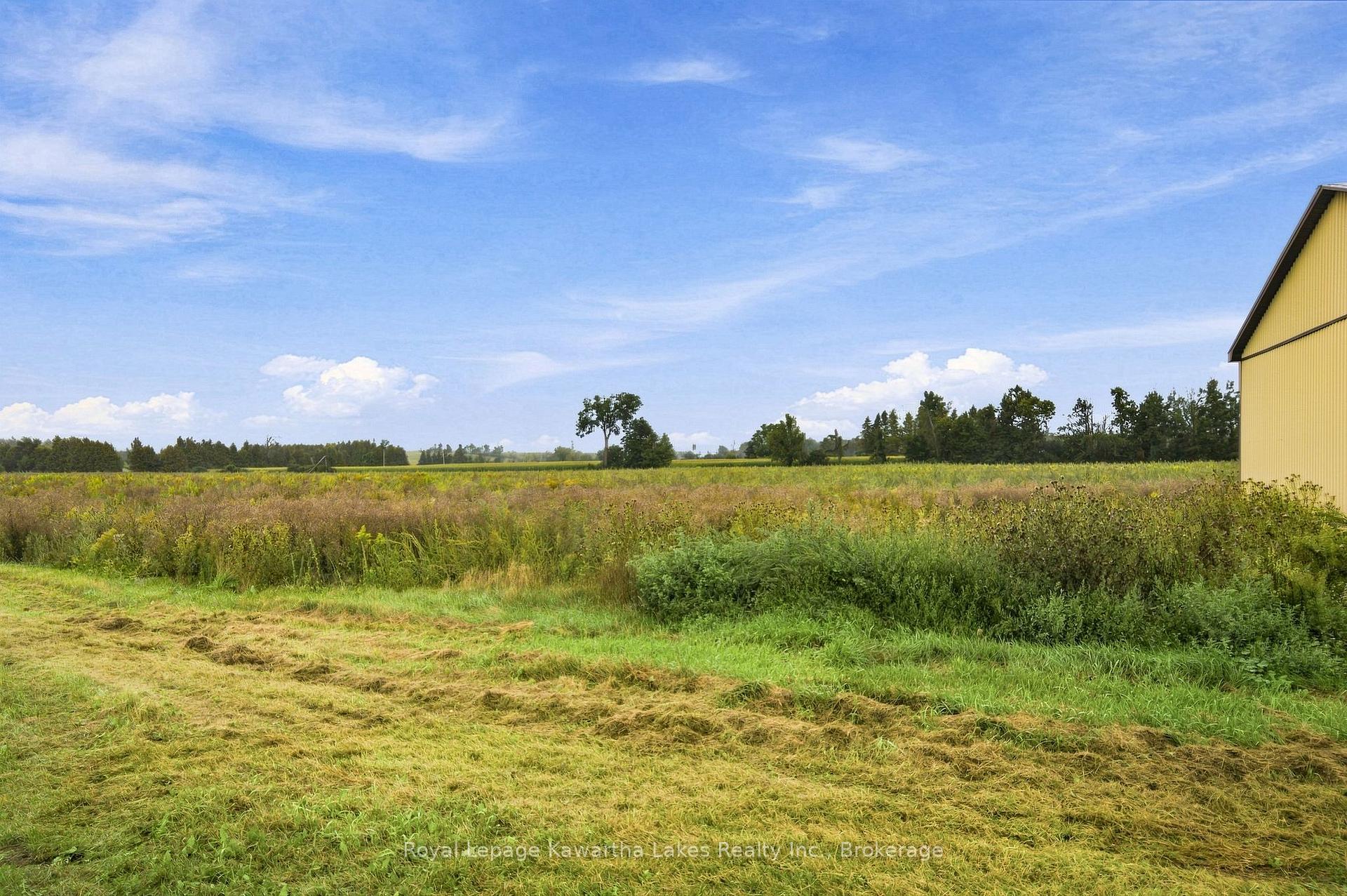 Photo 19 of 583 Hillhead Road, Kawartha Lakes, Ops — HOMEH