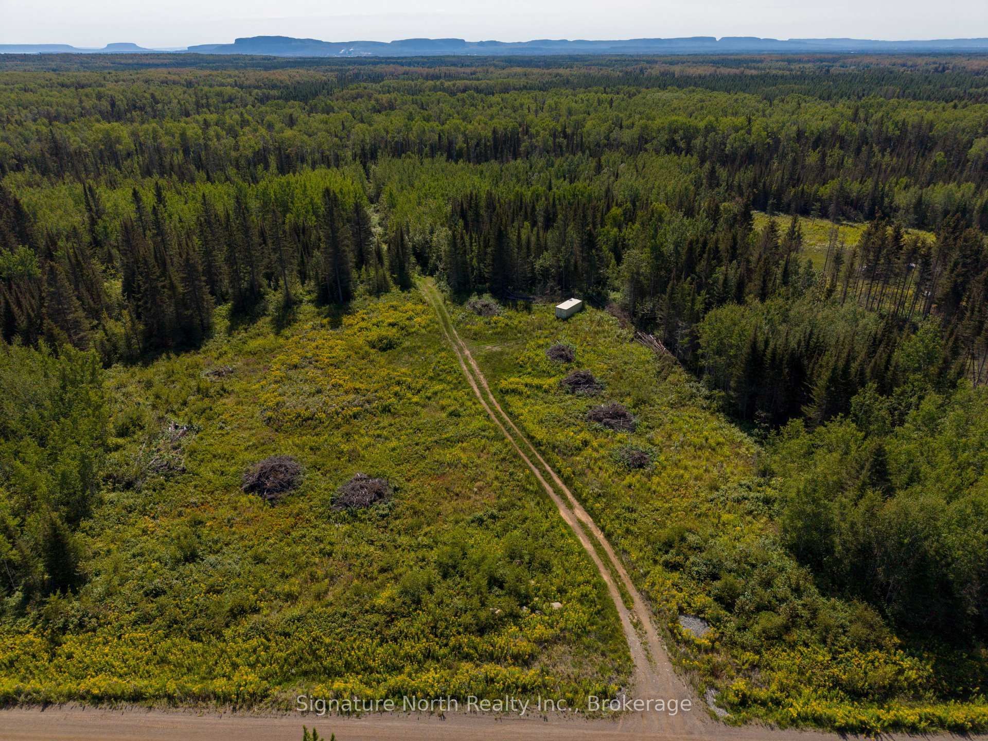 Photo of 1051 Red Pine Way