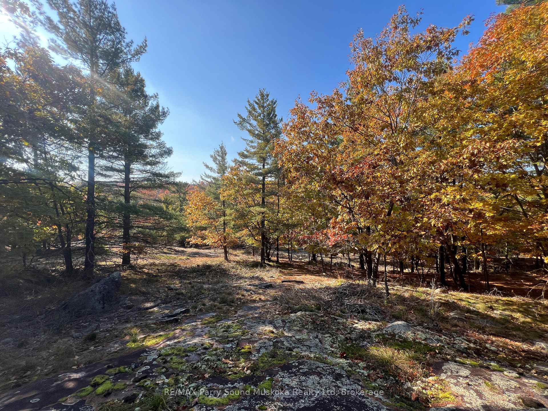 Photo of 13 Ridgeway Drive