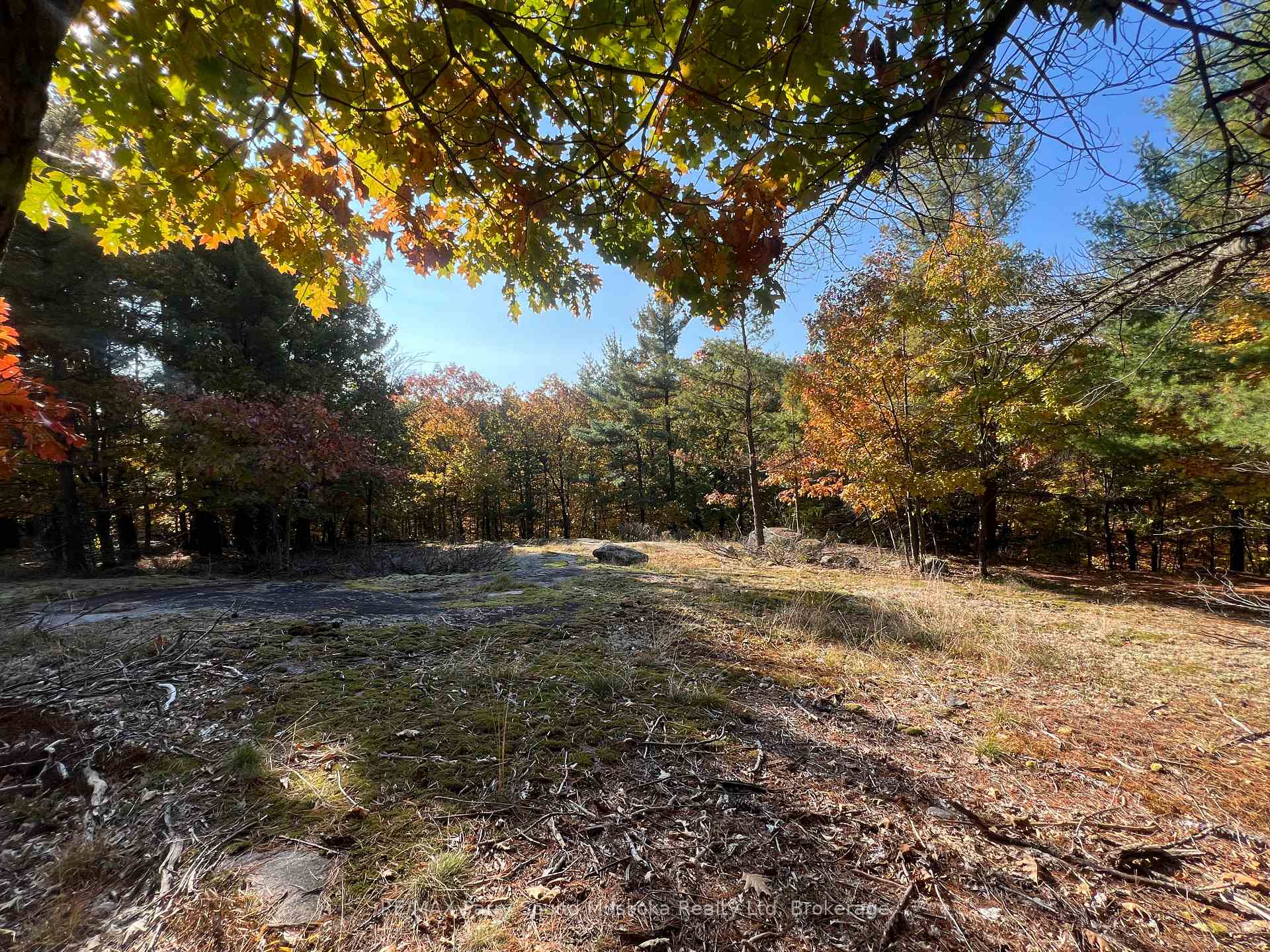 Photo 2 of 13 Ridgeway Drive, Carling — HOMEH