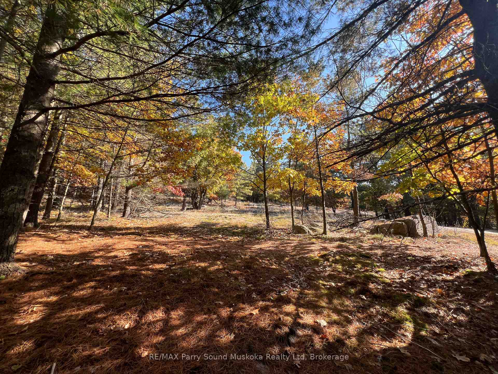 Photo 27 of 13 Ridgeway Drive, Carling — HOMEH