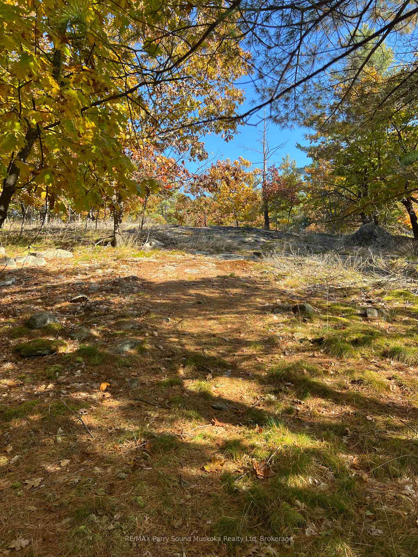 Photo 29 of 13 Ridgeway Drive, Carling — HOMEH