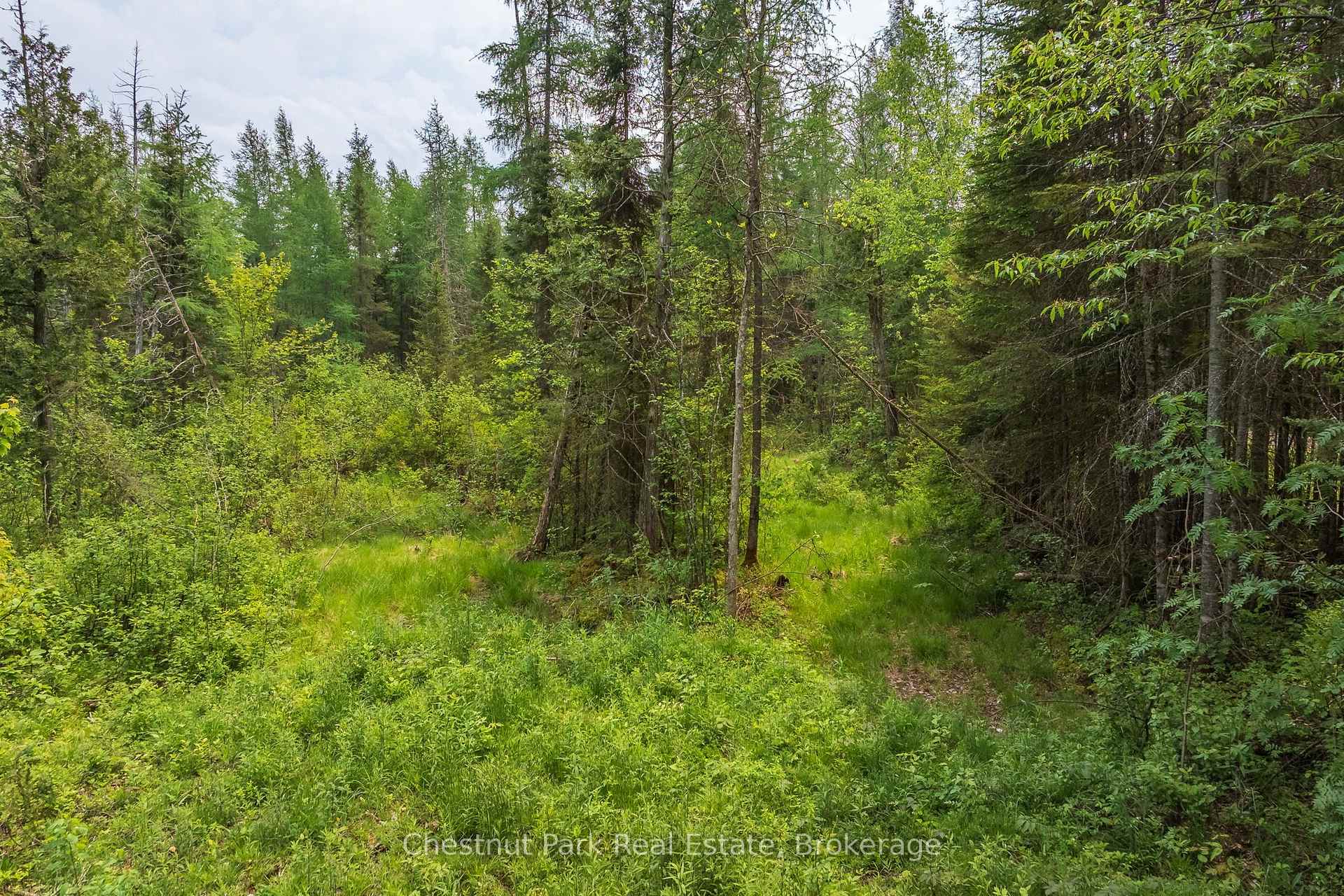Photo 7 of Stoneway Road, Kearney — HOMEH