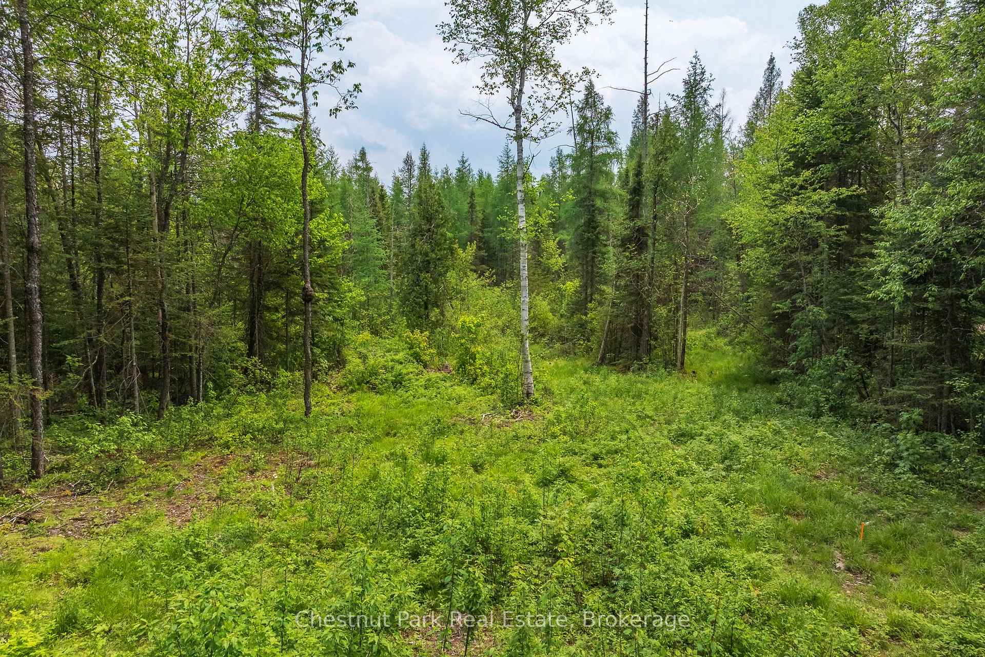 Photo 6 of Stoneway Road, Kearney — HOMEH