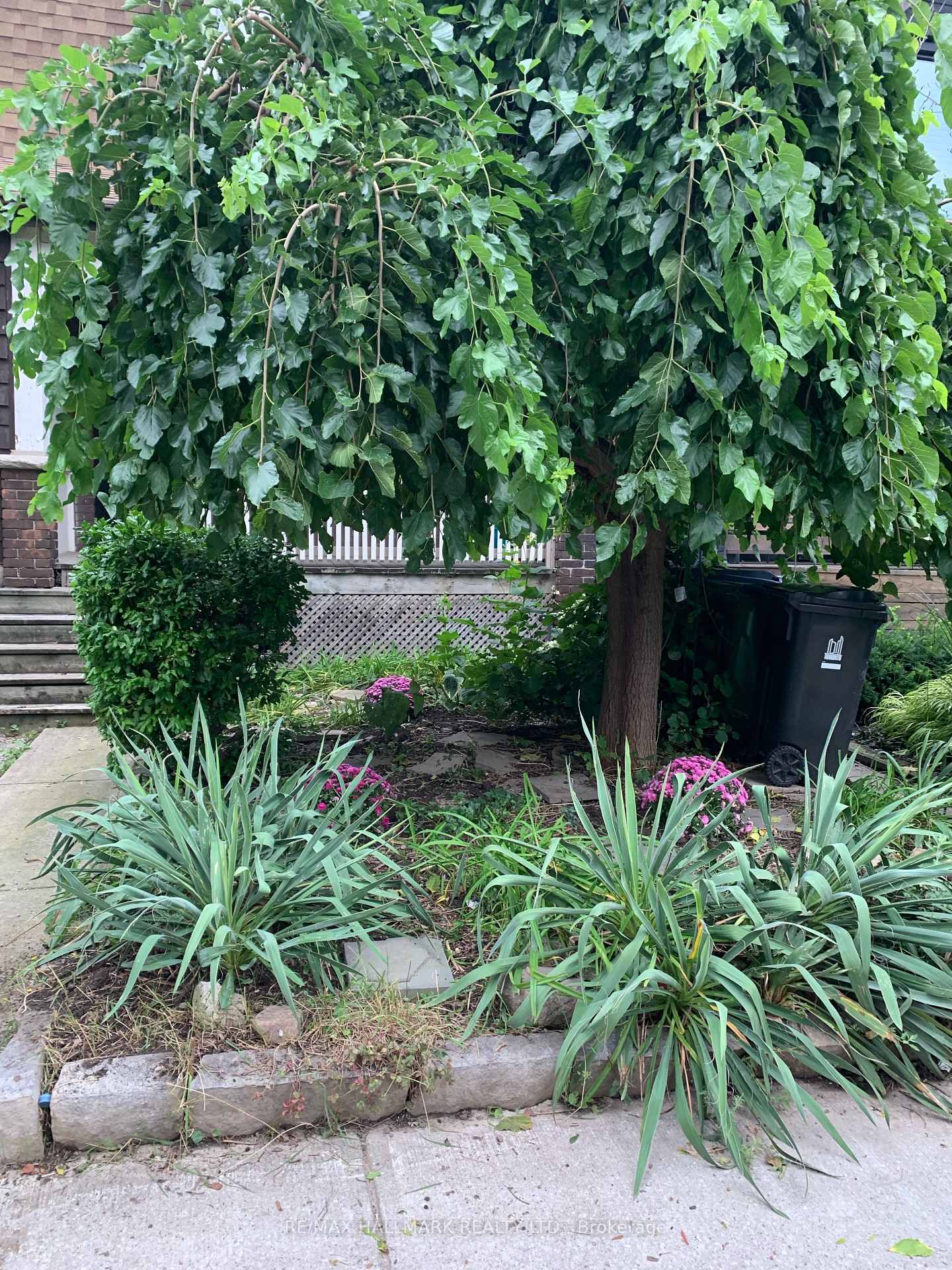 Photo 16 of 53 Cambridge Avenue, Toronto, Playter Estates-Danforth — HOMEH