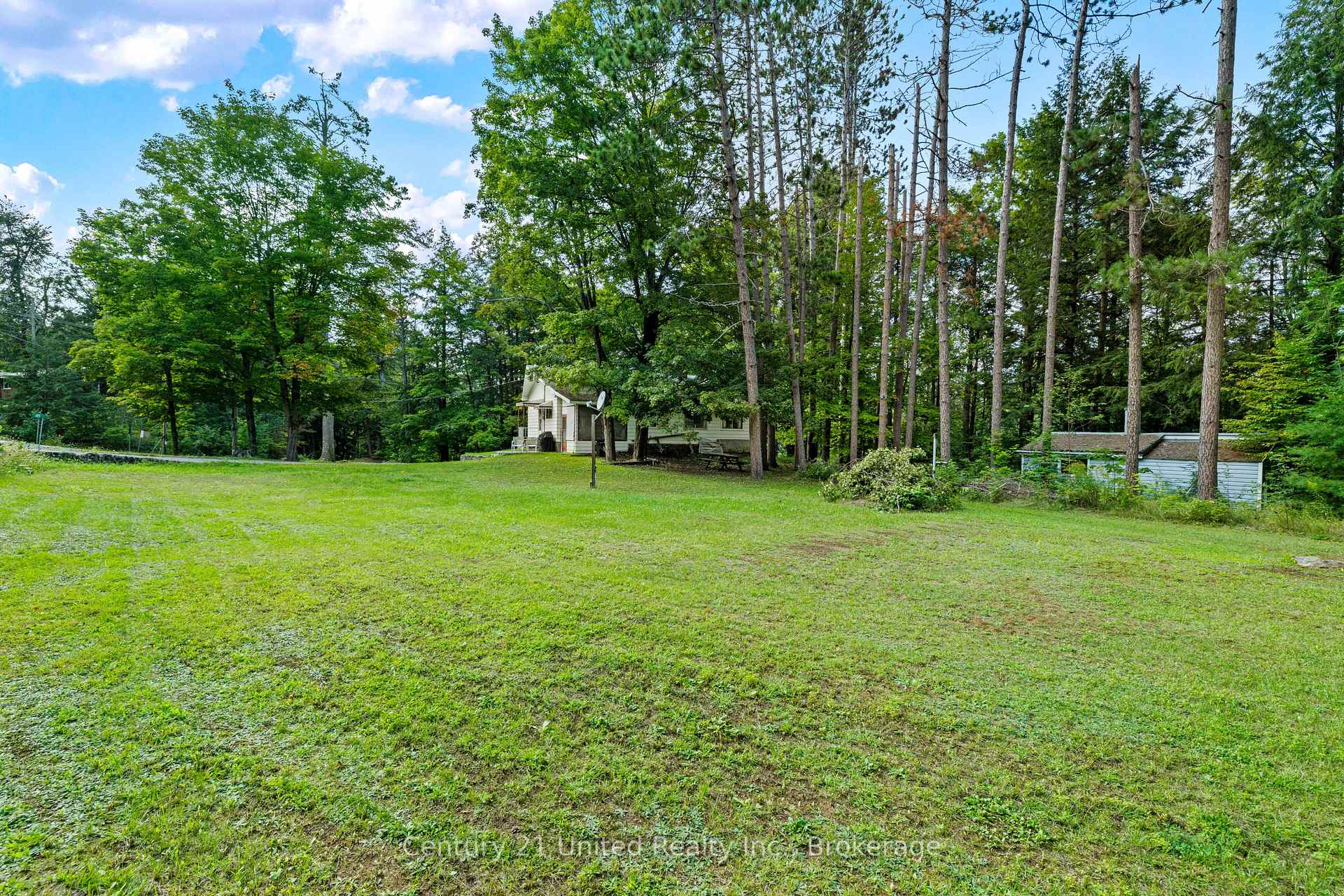 Photo 3 of 49 Mcfadden Road, North Kawartha — HOMEH