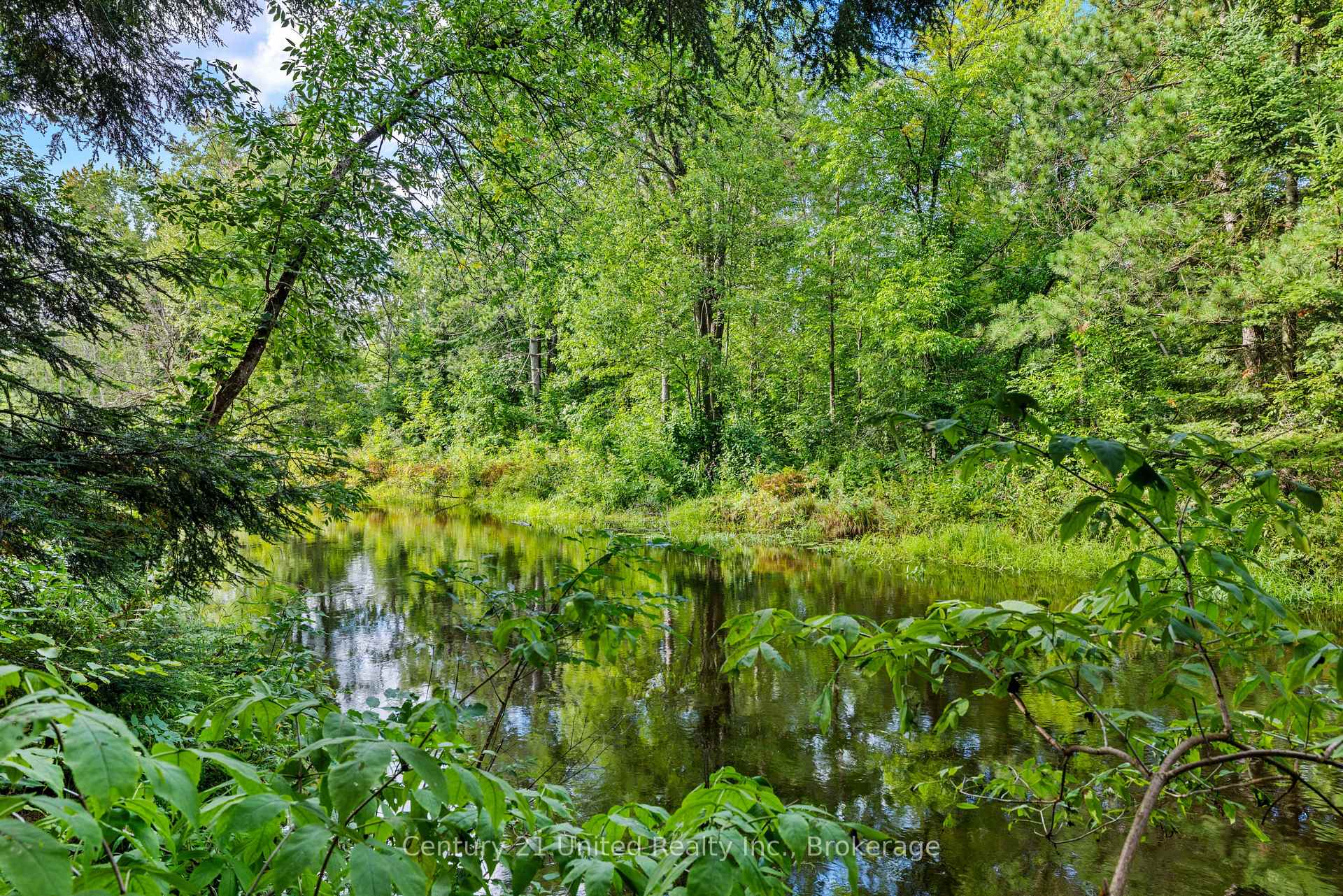 Photo 5 of 49 Mcfadden Road, North Kawartha — HOMEH