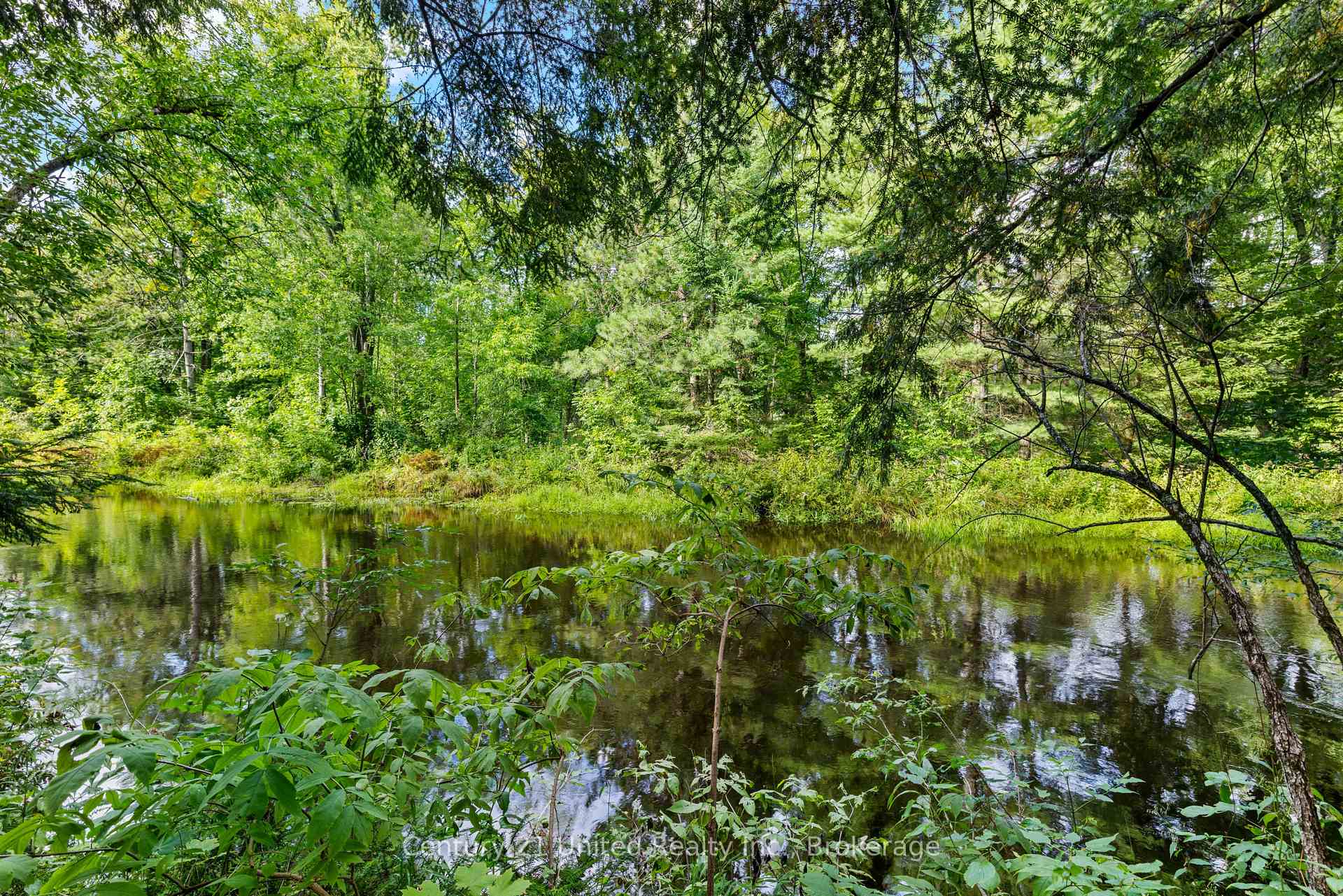 Photo 6 of 49 Mcfadden Road, North Kawartha — HOMEH