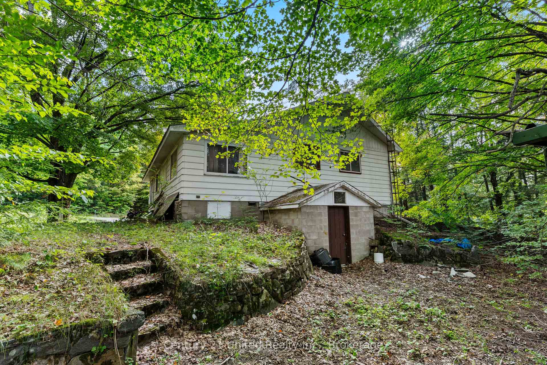 Photo 7 of 49 Mcfadden Road, North Kawartha — HOMEH