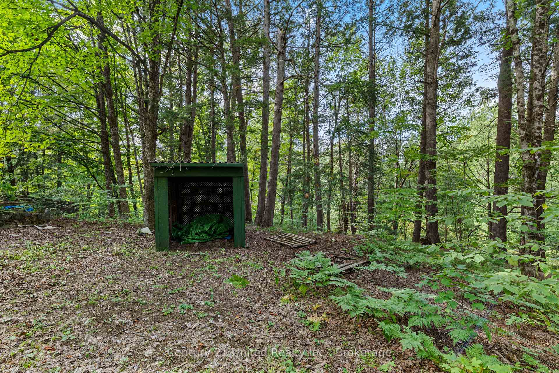 Photo 33 of 49 Mcfadden Road, North Kawartha — HOMEH