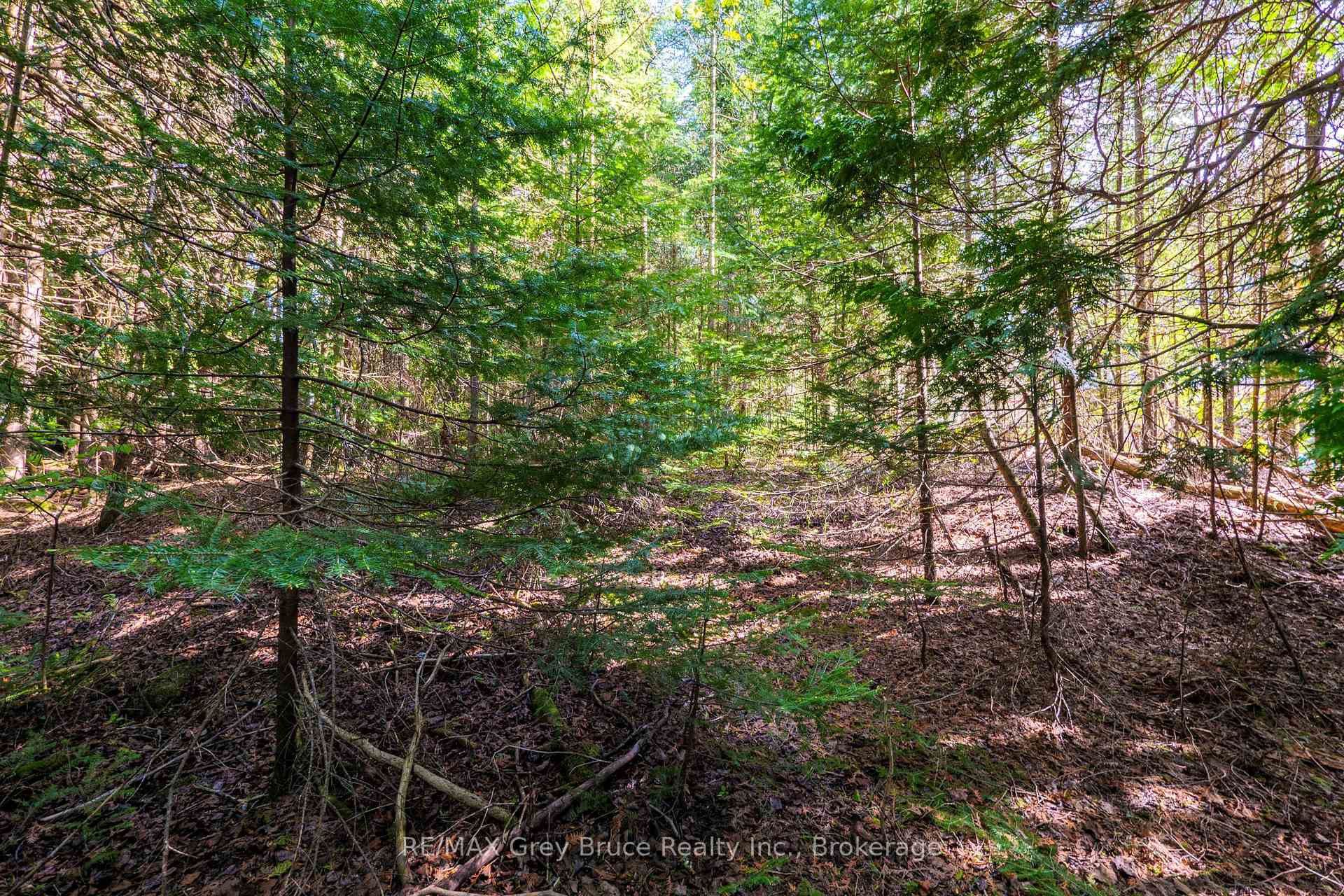 Photo 19 of Unit 6 Stokes Bay Road, Northern Bruce Peninsula — HOMEH