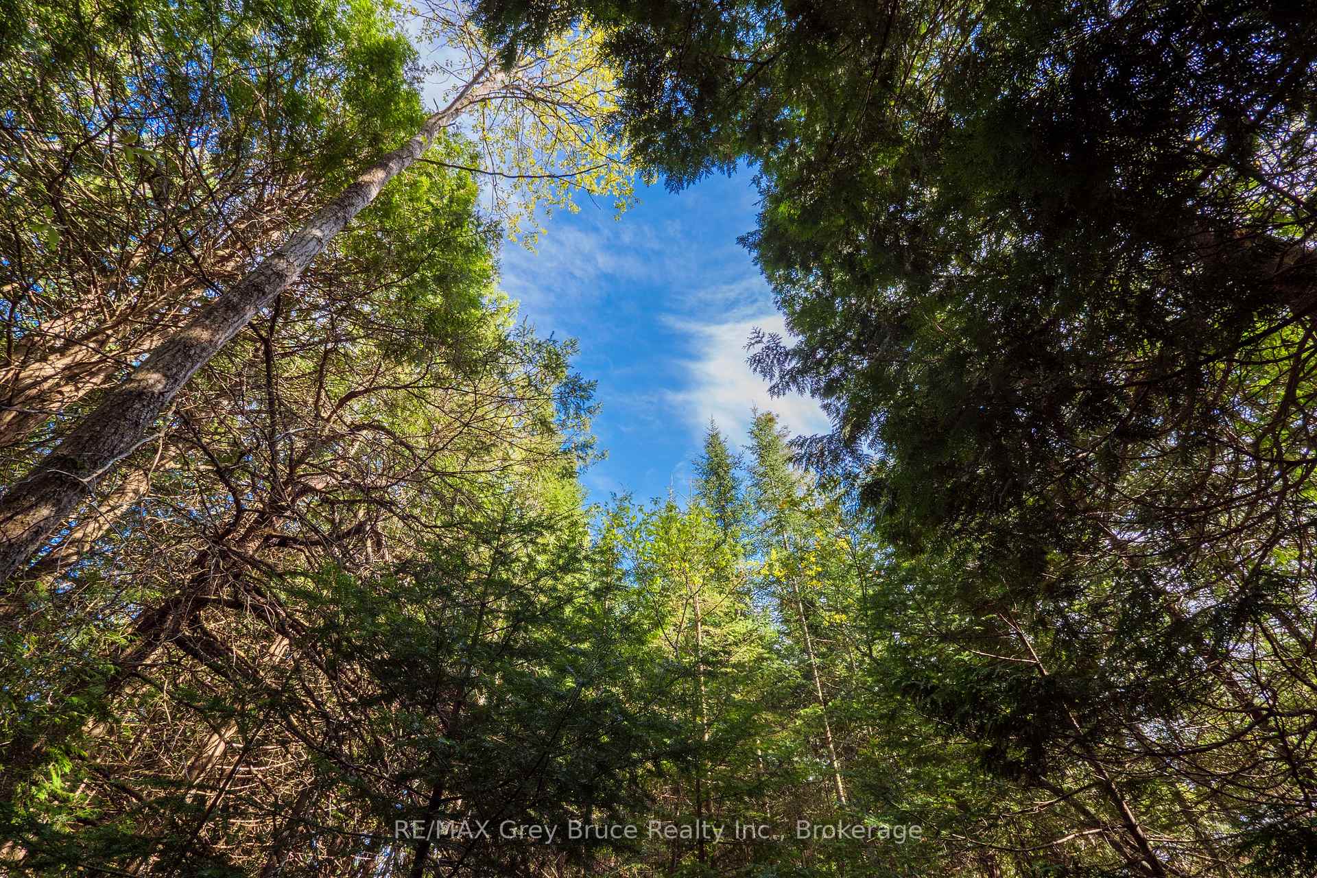 Photo 20 of Unit 6 Stokes Bay Road, Northern Bruce Peninsula — HOMEH