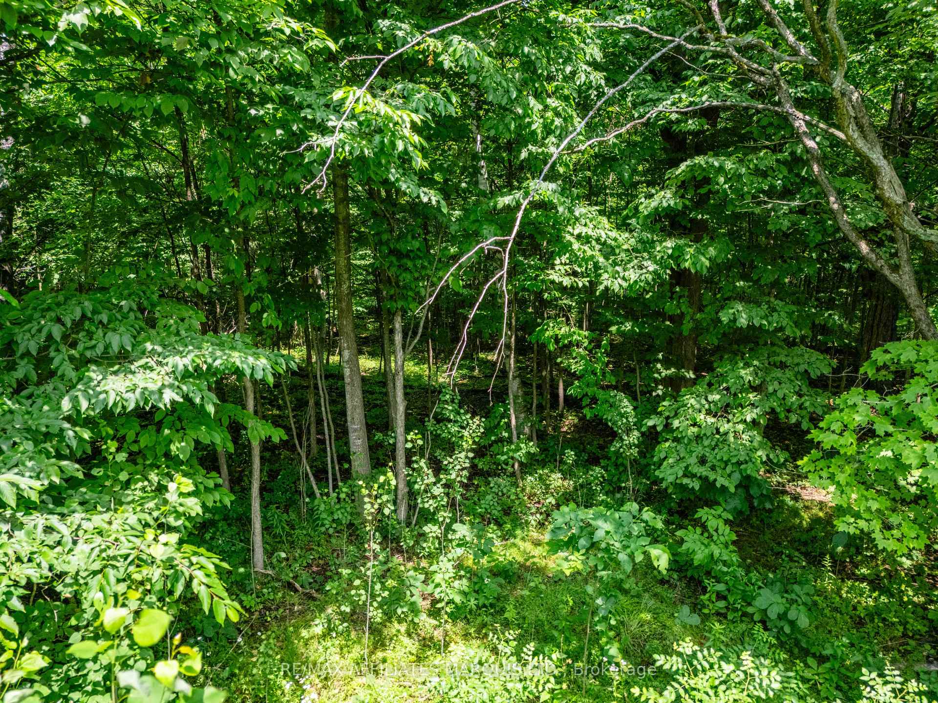Photo 3 of LOT Beaver Brook Road, South Glengarry, South Glengarry (Charlottenburgh) Twp — HOMEH