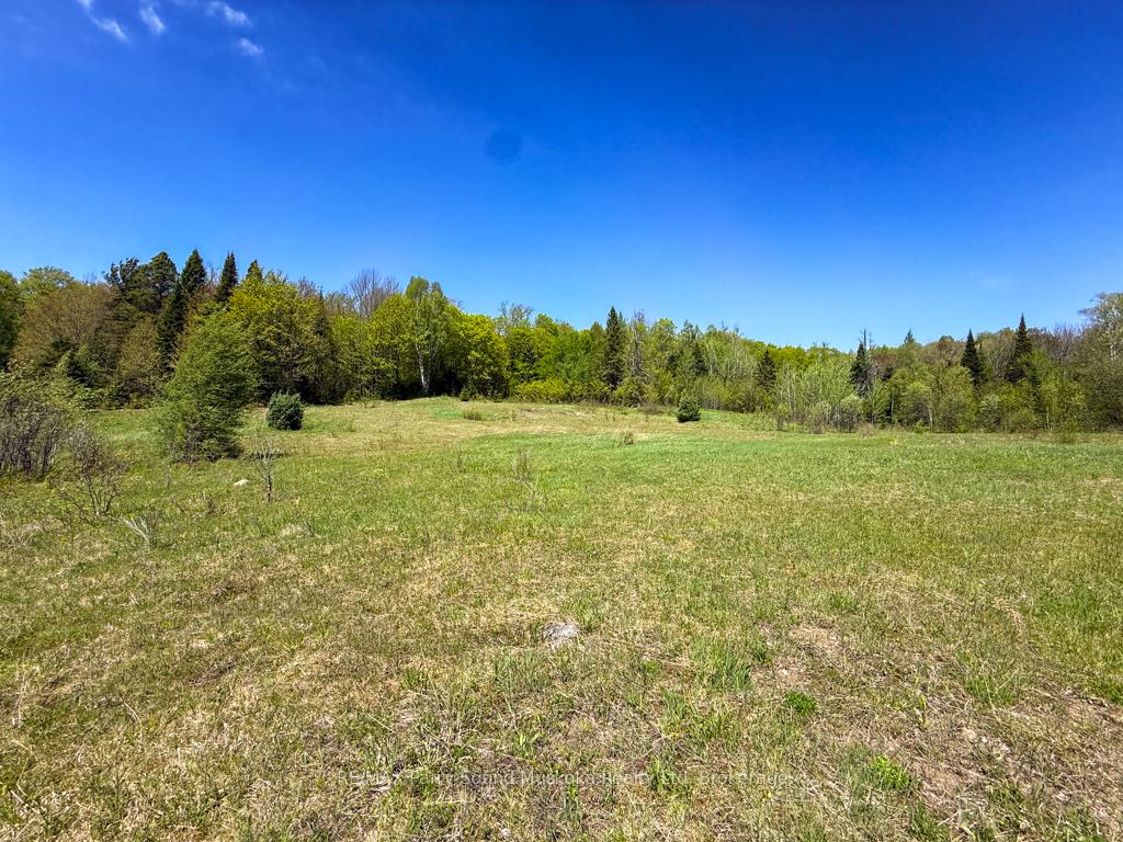 Photo 26 of 690 Hurdville Road, McKellar — HOMEH