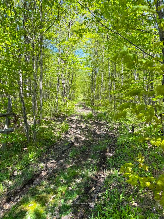Photo 46 of 690 Hurdville Road, McKellar — HOMEH