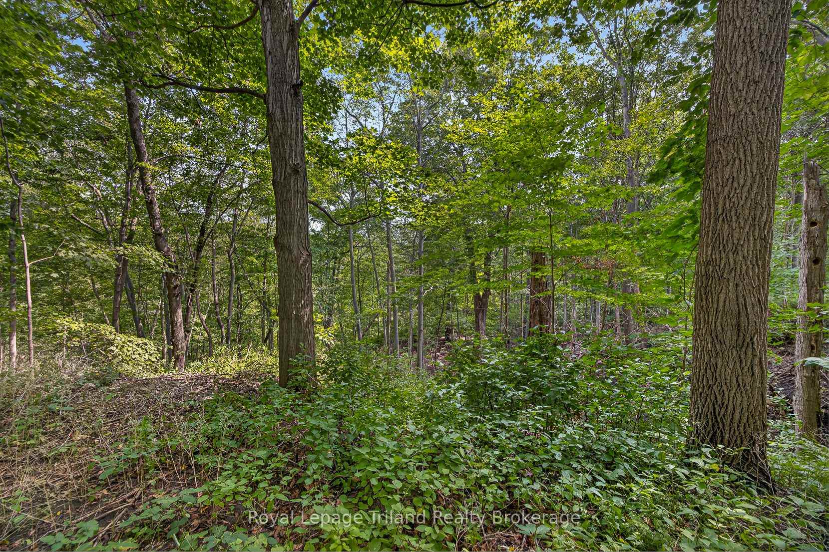 Photo 48 of 39 Clear Valley Drive, Tillsonburg — HOMEH