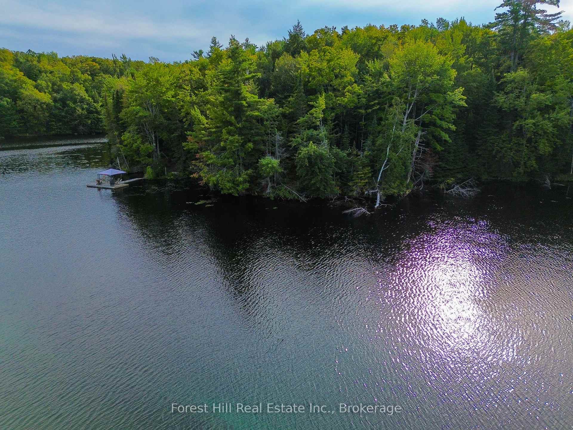 Photo 5 of 1316 Carlsmount Road E, Bracebridge, Draper — HOMEH