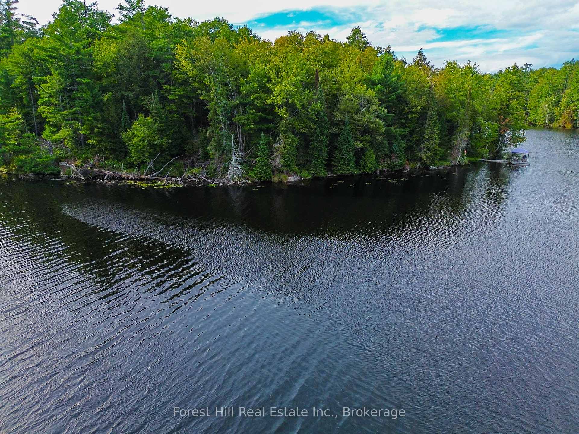 Photo 9 of 1316 Carlsmount Road E, Bracebridge, Draper — HOMEH