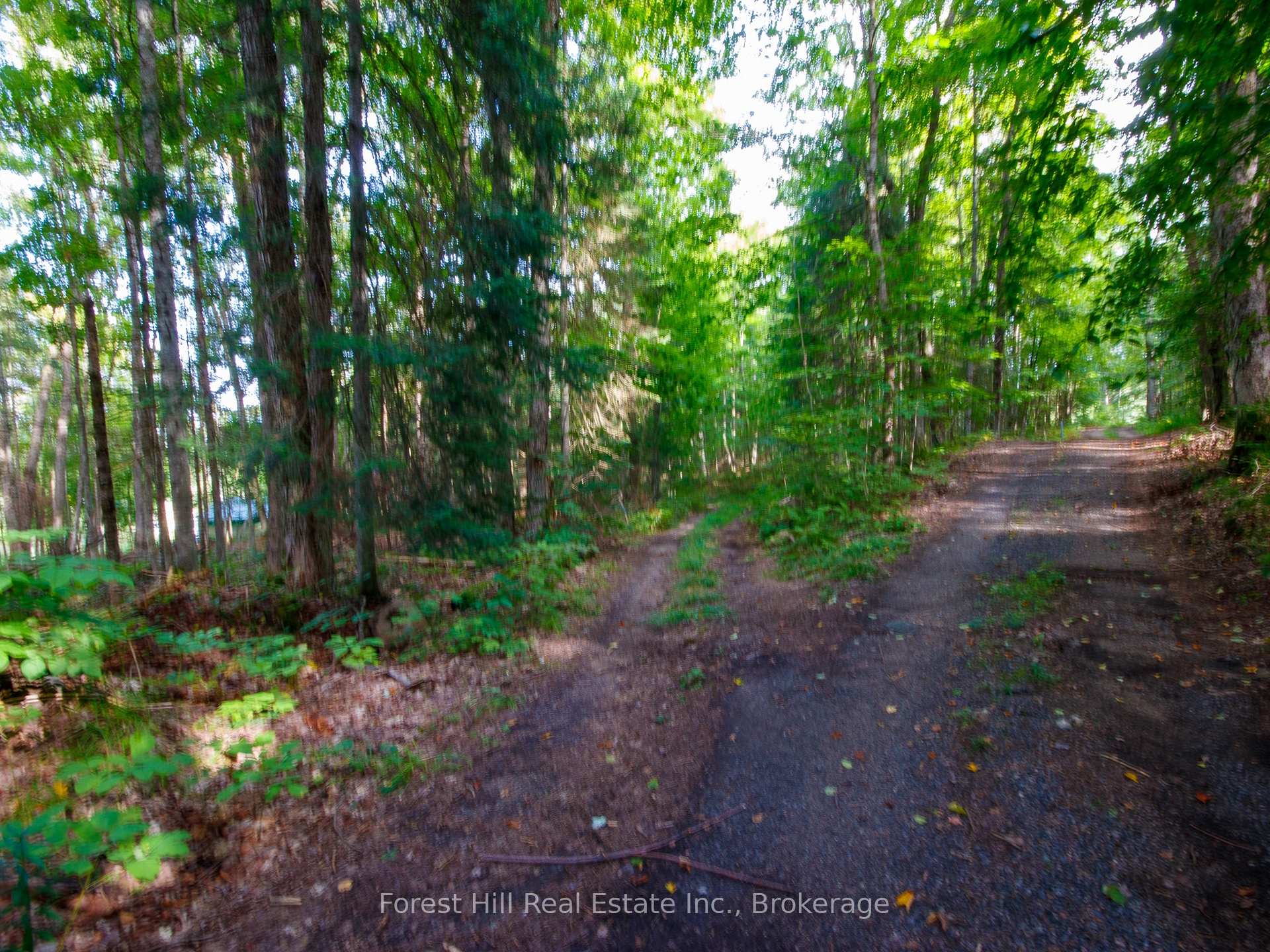 Photo 17 of 1316 Carlsmount Road E, Bracebridge, Draper — HOMEH