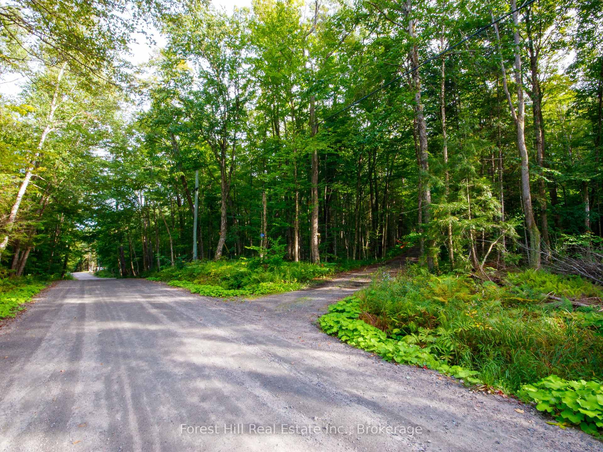 Photo 15 of 1316 Carlsmount Road E, Bracebridge, Draper — HOMEH