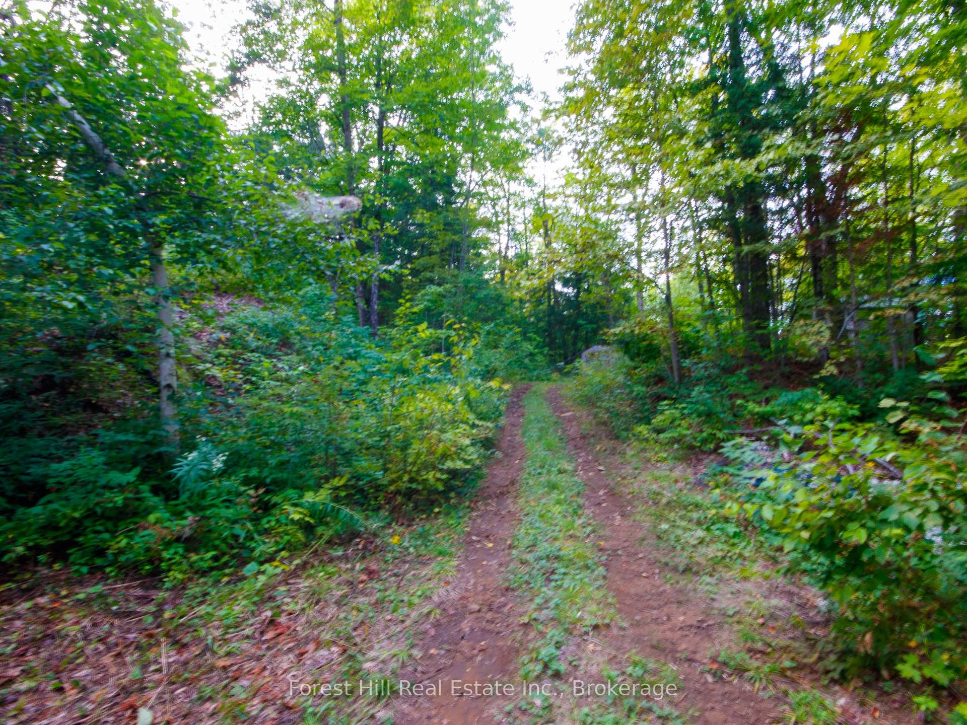 Photo 18 of 1316 Carlsmount Road E, Bracebridge, Draper — HOMEH