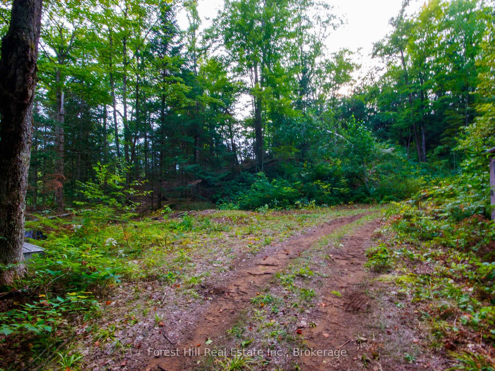 Photo 26 of 1316 Carlsmount Road E, Bracebridge, Draper — HOMEH