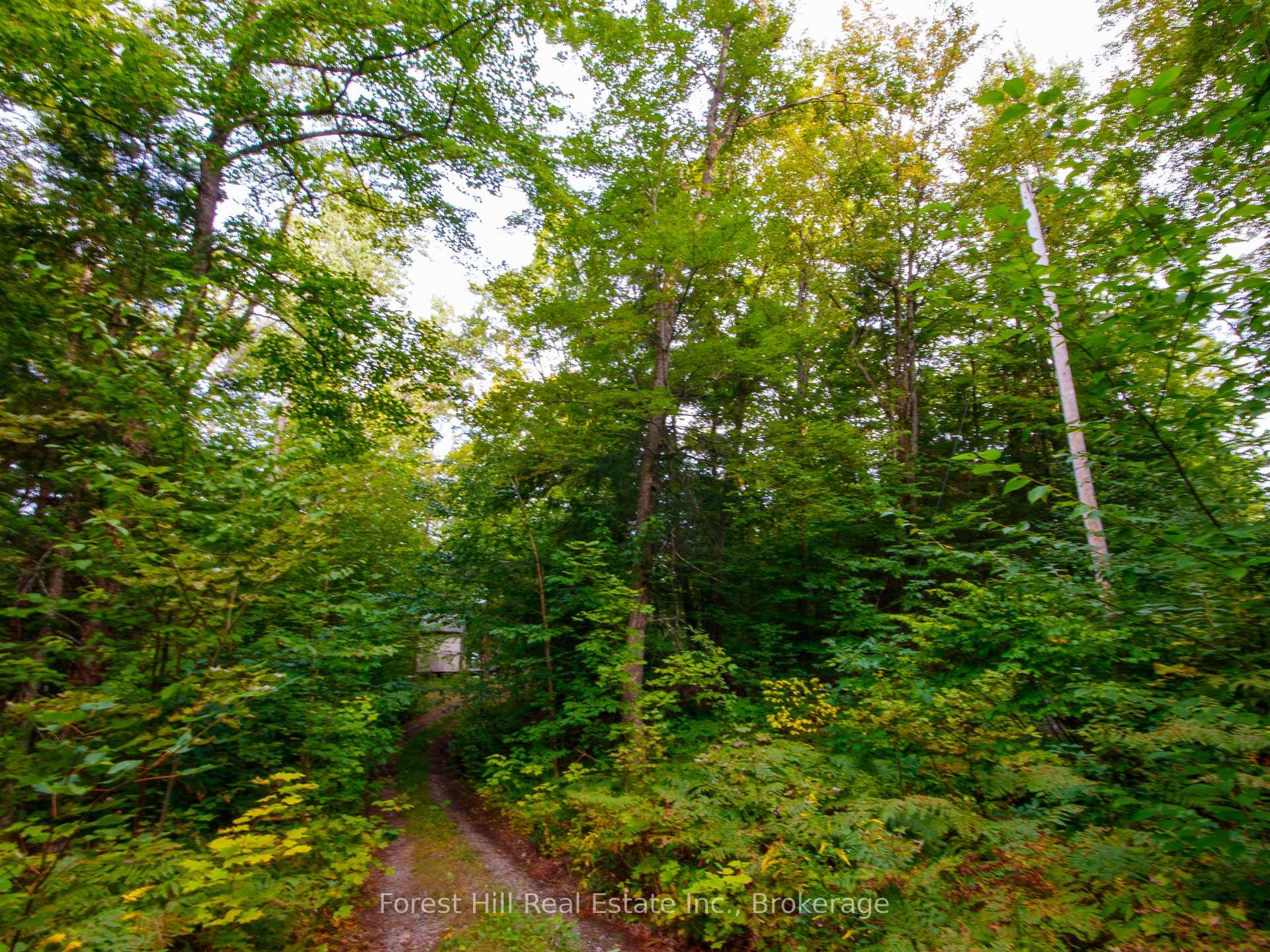 Photo 27 of 1316 Carlsmount Road E, Bracebridge, Draper — HOMEH
