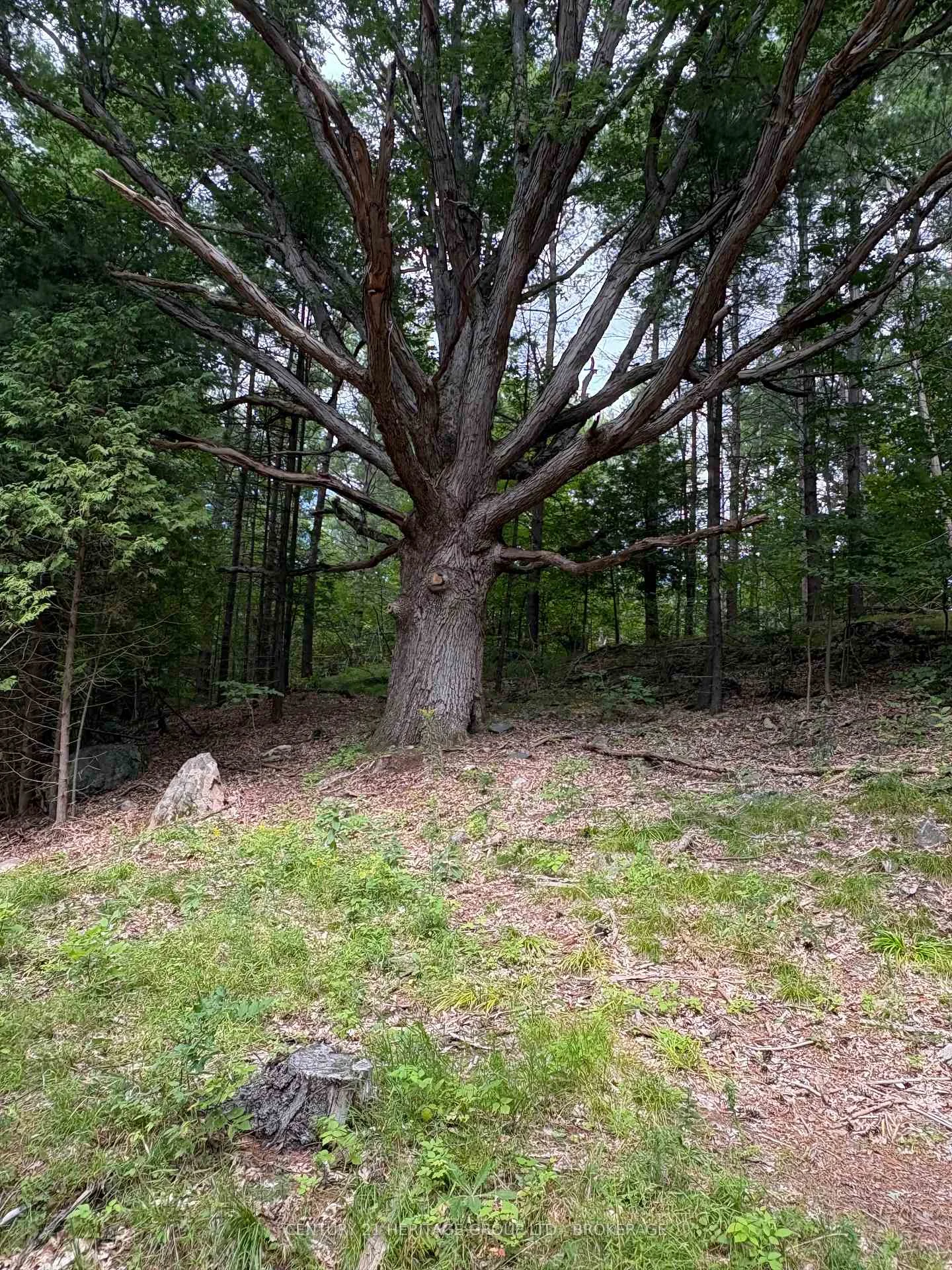 Photo 10 of Anderson Road, Frontenac, Frontenac South — HOMEH