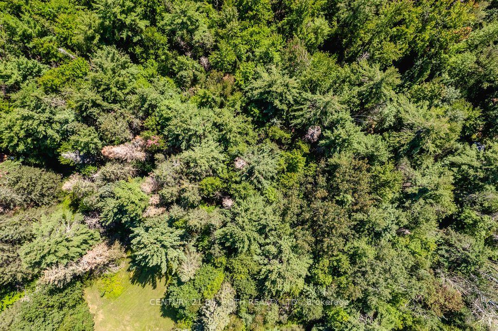 Photo 6 of 1327 Monck Road, Ramara, Rural Ramara — HOMEH