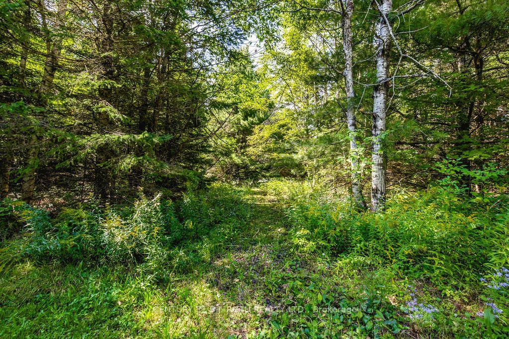 Photo 11 of 1327 Monck Road, Ramara, Rural Ramara — HOMEH