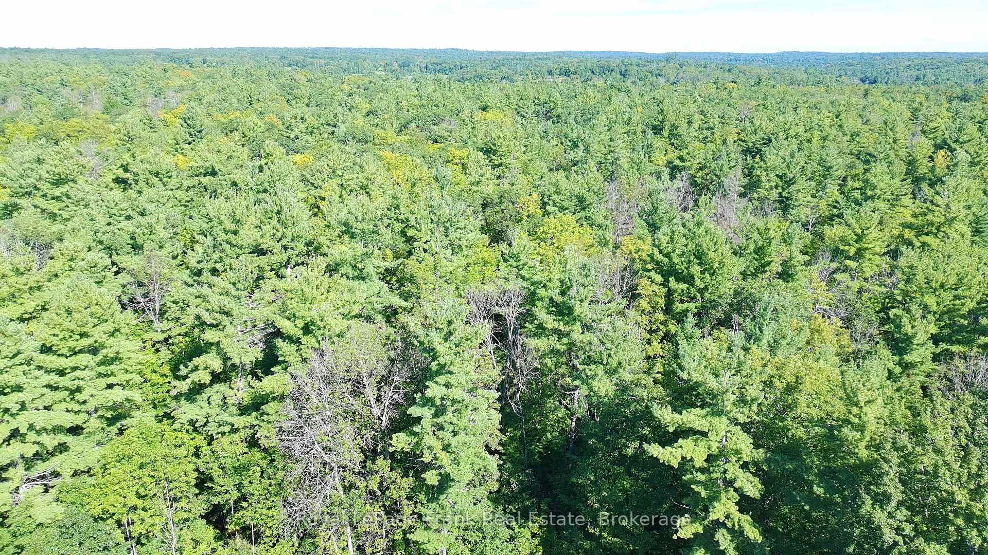 Photo 47 of 858 Mill Road, Madoc — HOMEH