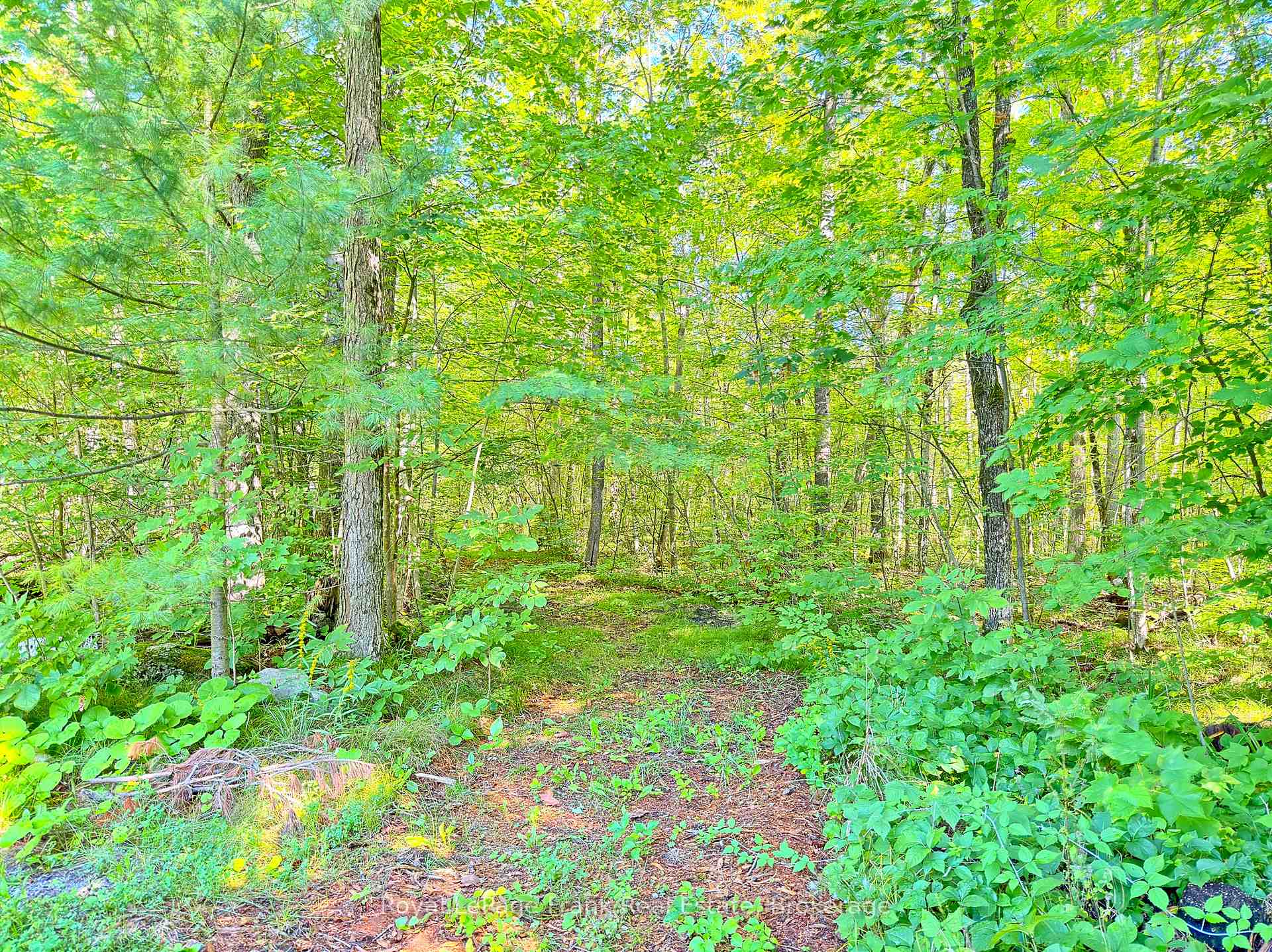 Photo 40 of 858 Mill Road, Madoc — HOMEH