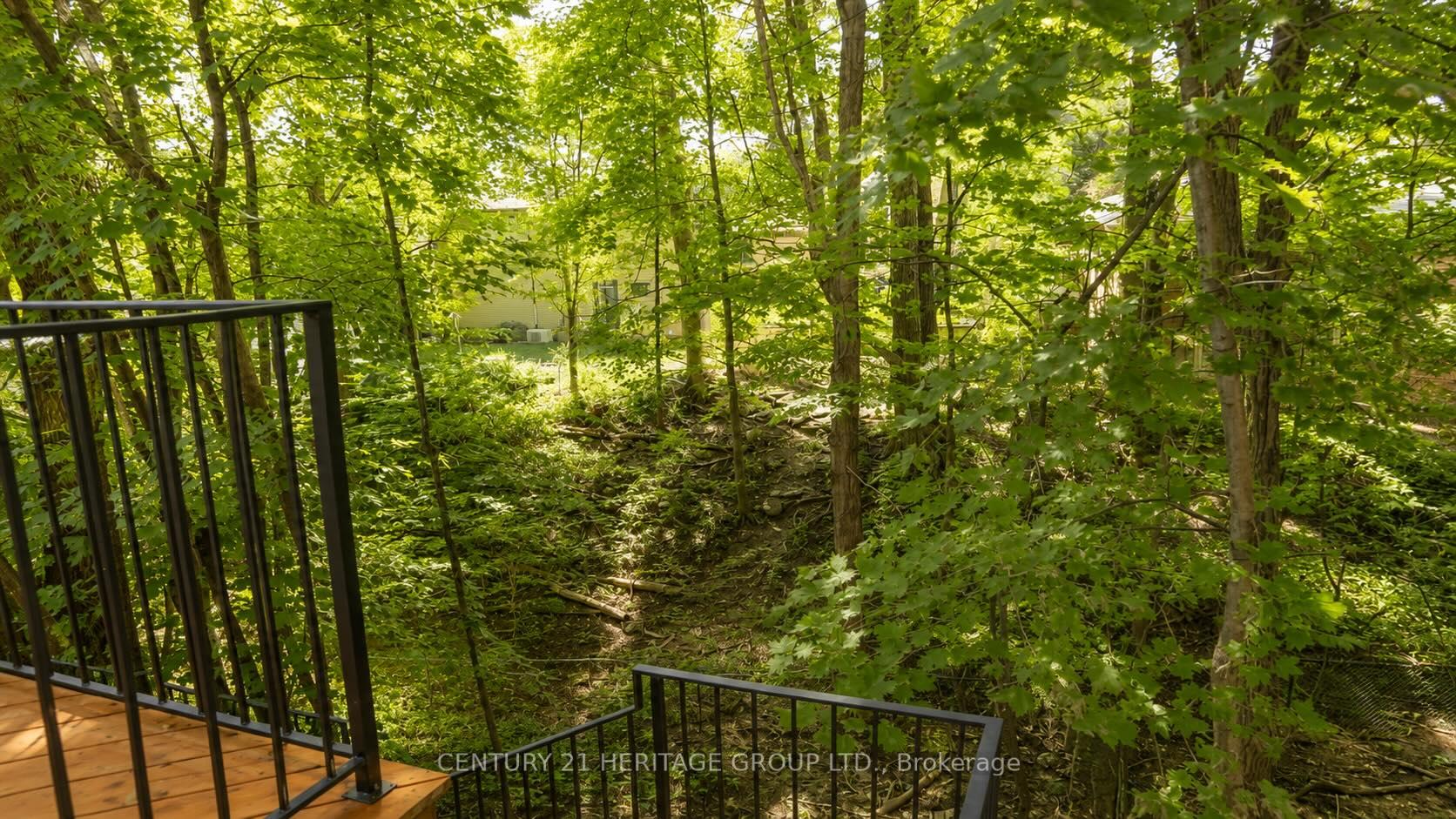 Photo 38 of Unit Main, 17 Hi Mount Drive, North York, Bayview Village — HOMEH