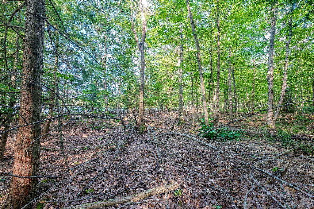 Photo 11 of 5243 Battersea Road, Frontenac, Frontenac South — HOMEH