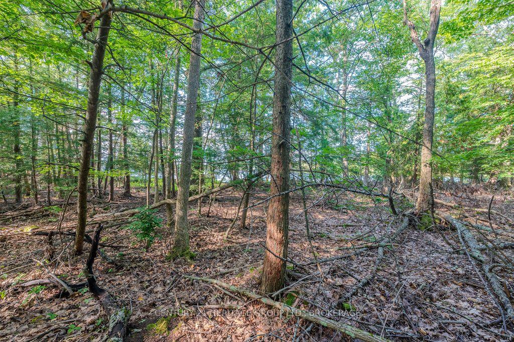 Photo 12 of 5243 Battersea Road, Frontenac, Frontenac South — HOMEH