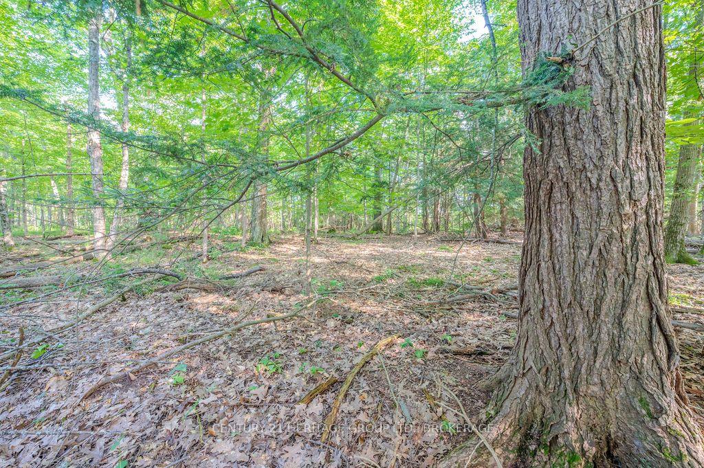 Photo 15 of 5243 Battersea Road, Frontenac, Frontenac South — HOMEH