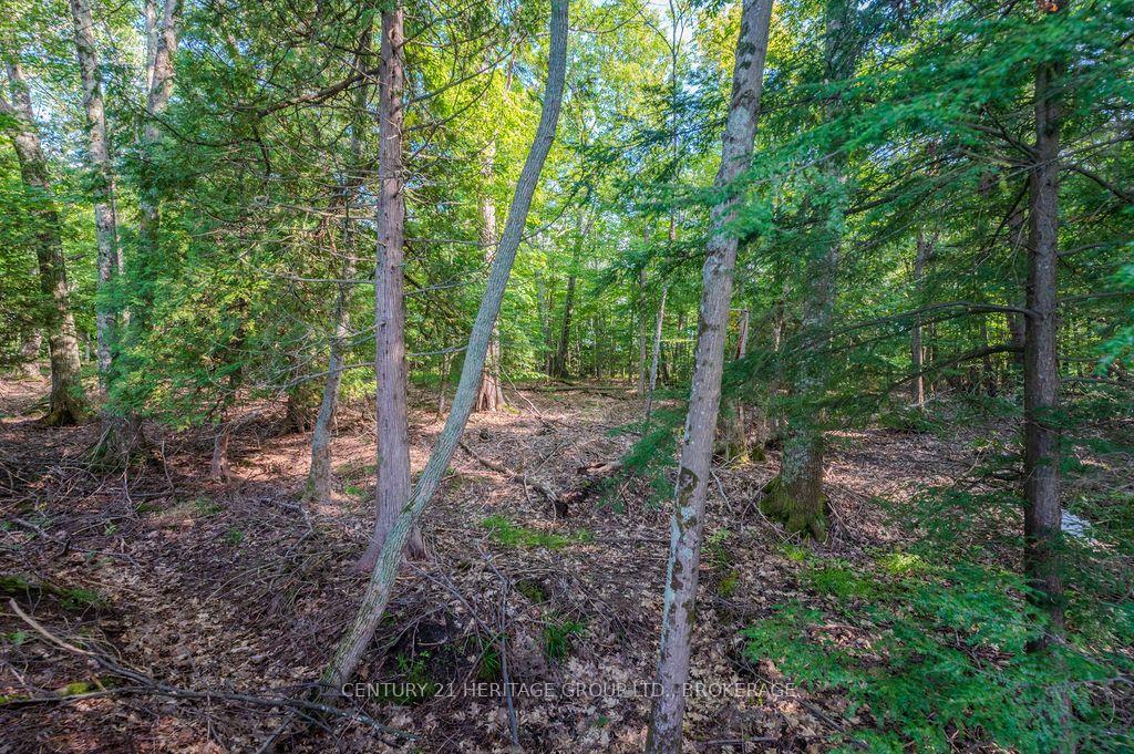 Photo 20 of 5243 Battersea Road, Frontenac, Frontenac South — HOMEH