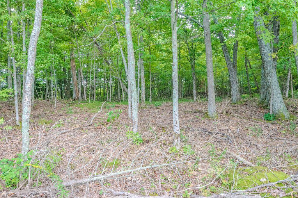 Photo 21 of 5243 Battersea Road, Frontenac, Frontenac South — HOMEH