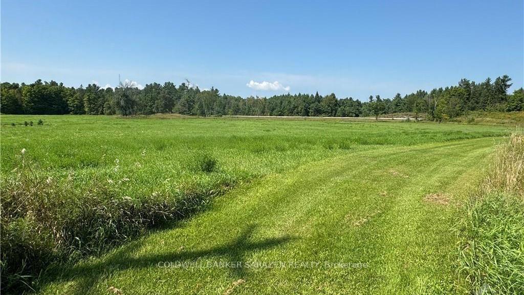 Photo 2 of Bandy's Road, McNab/Braeside, Mcnab/Braeside Twps — HOMEH
